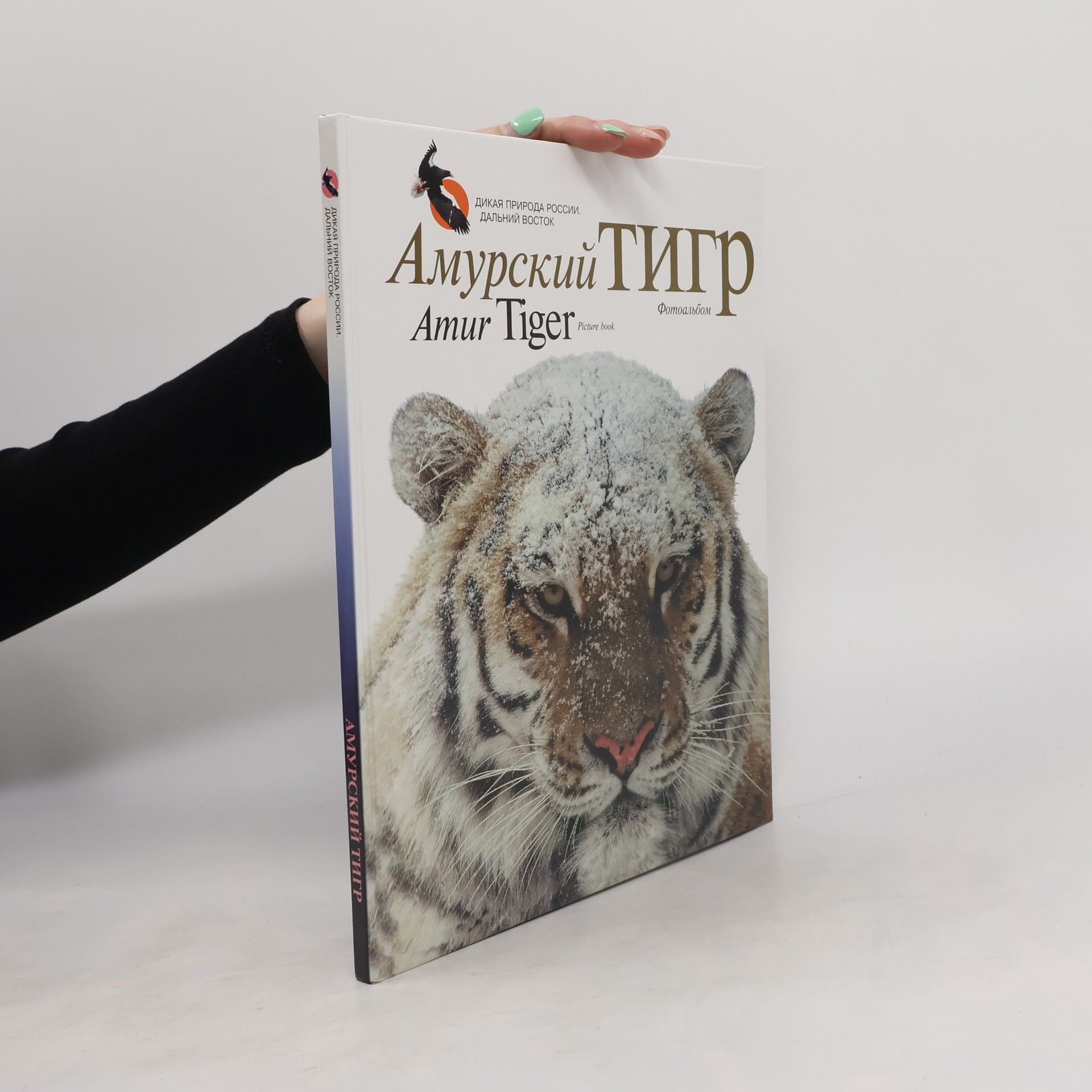 Yuri Dunishenko Амурский тигр. Amur Tiger