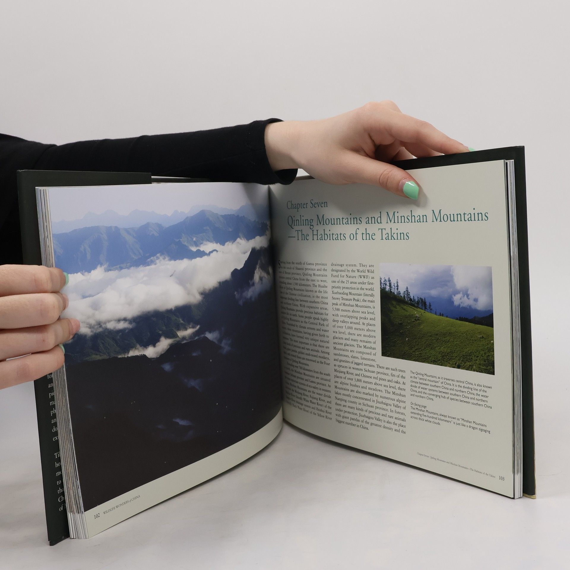 Zhinong Xi Wildlife Wonders of China : A Pictorial Journey through the Lens of Conservationist Xi Zhinong