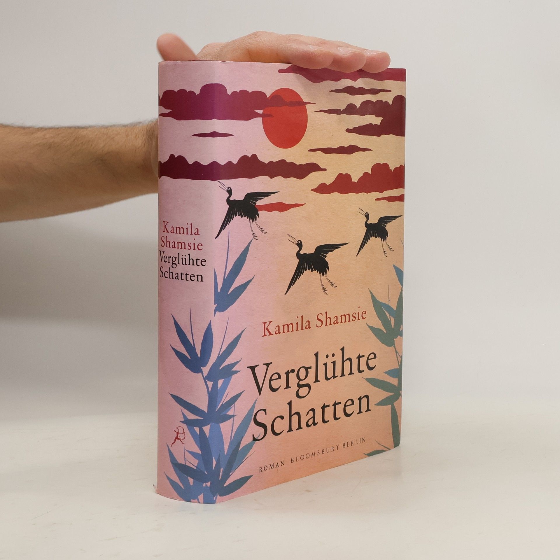 Kamila Shamsie Verglühte Schatten