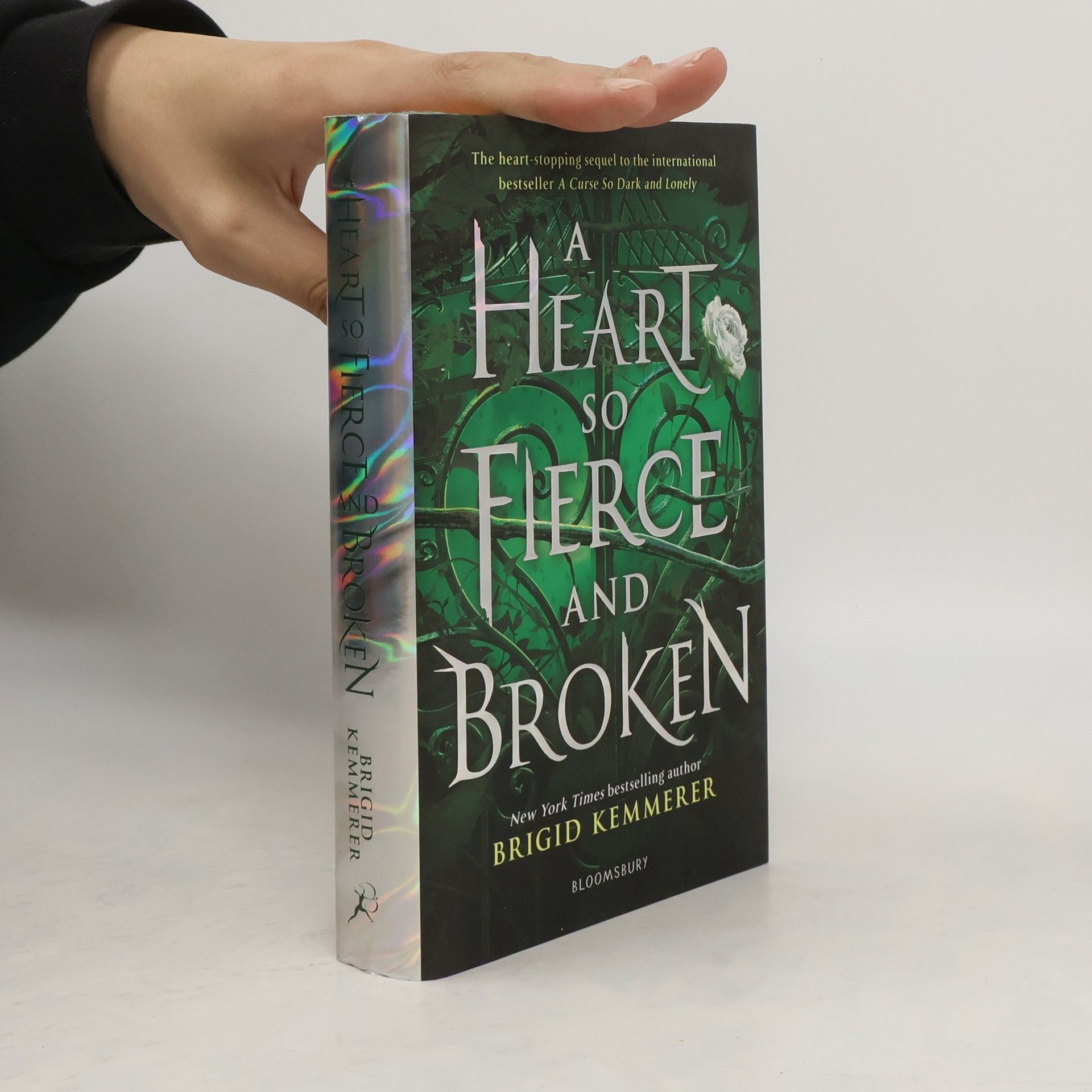Brigid Kemmererová A Heart So Fierce and Broken