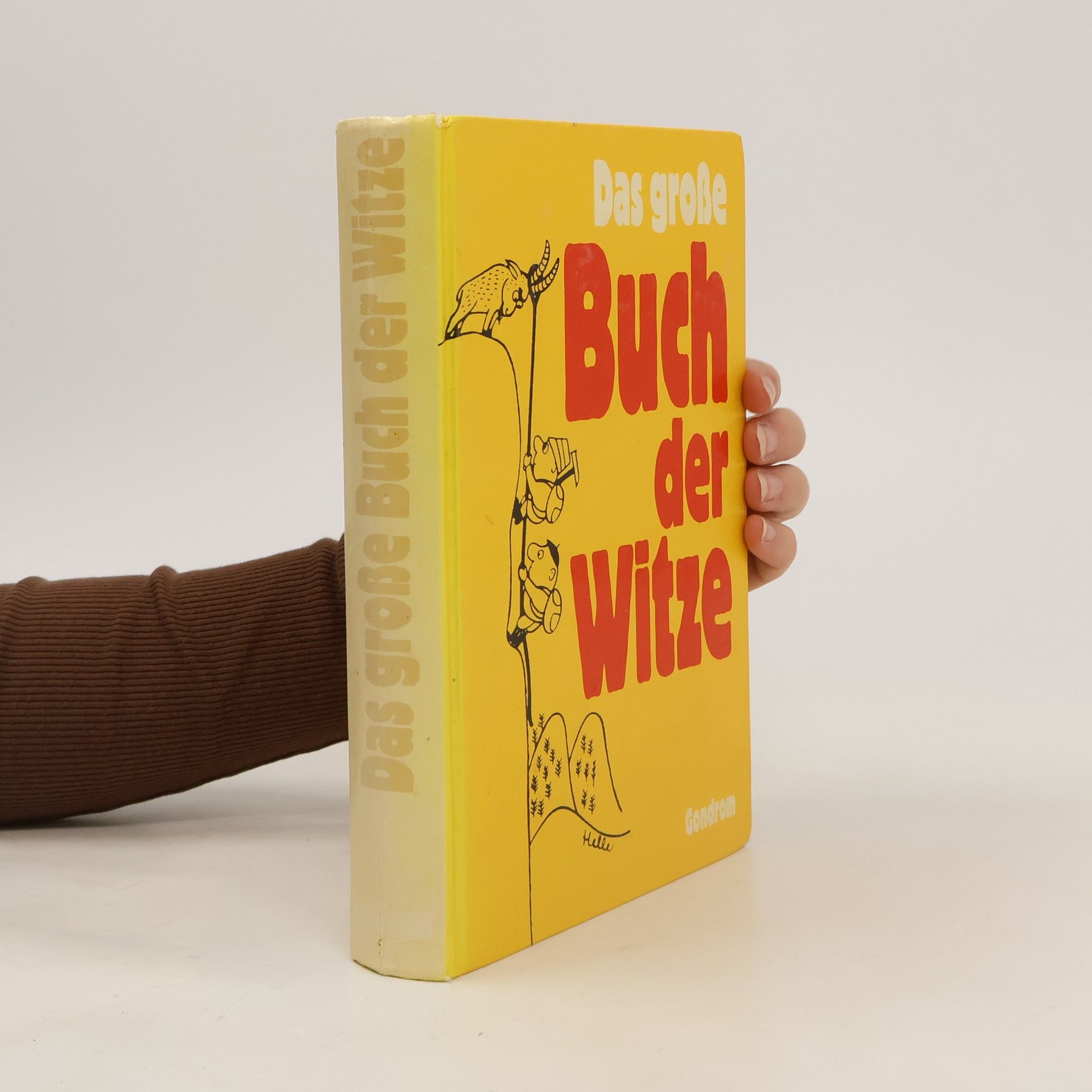 Collectif d'auteurs Das große Buch der Witze