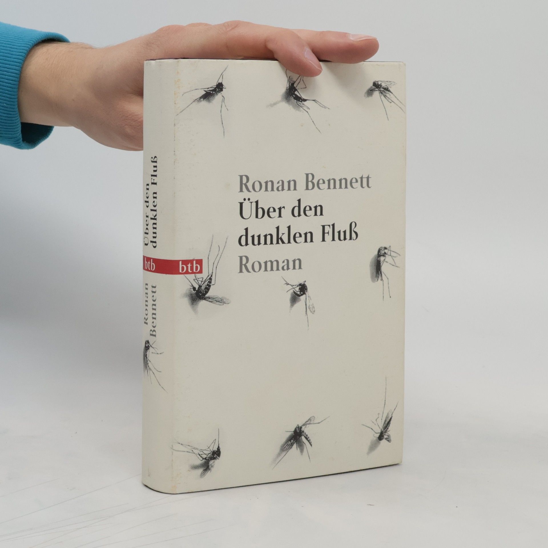 Ronan Bennett Über den dunklen Fluß
