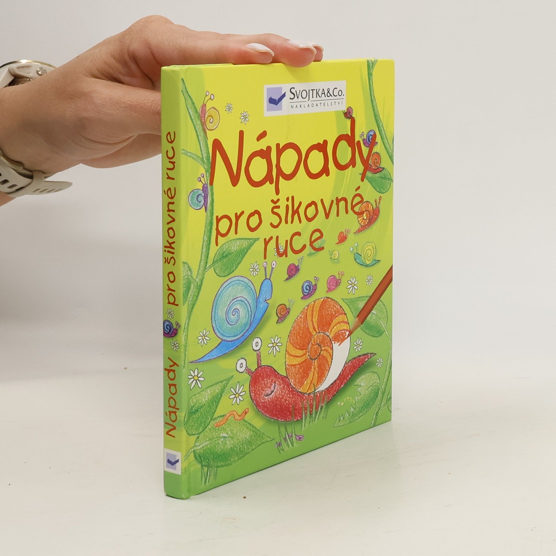 Ray Gibson Nápady pro šikovné ruce