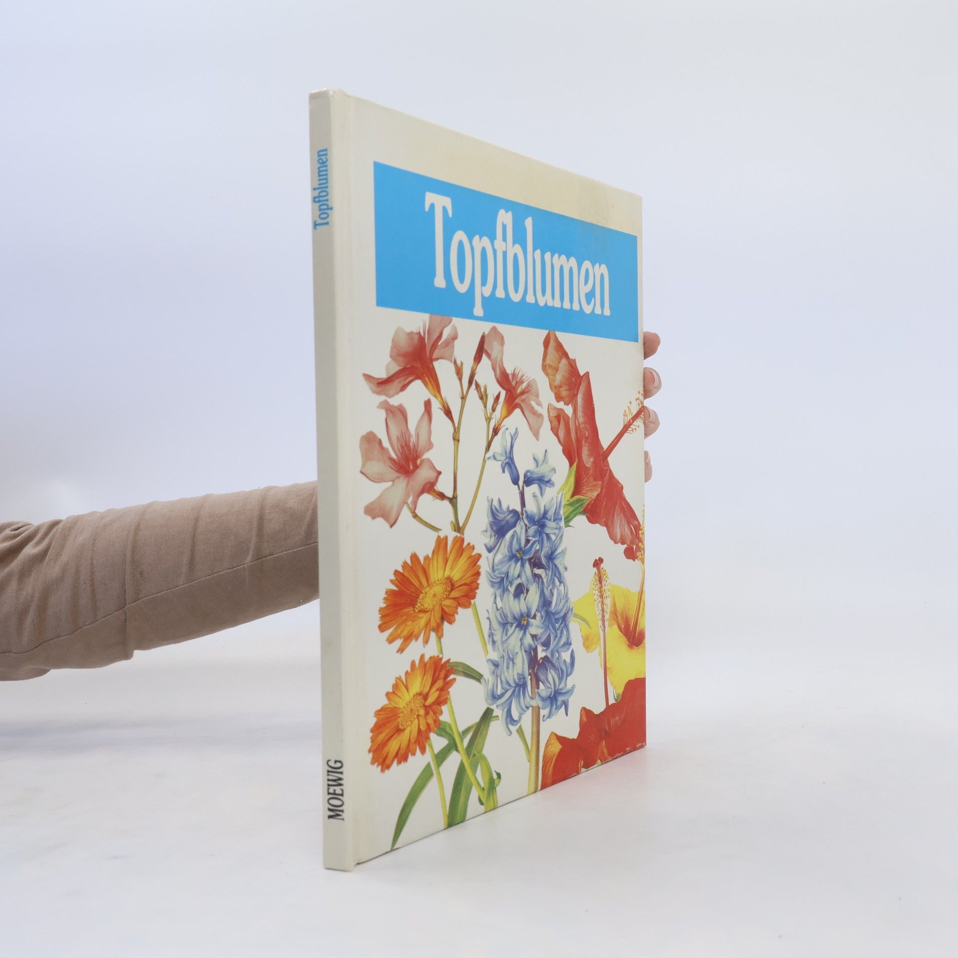 Doris Gottwald Topfblumen