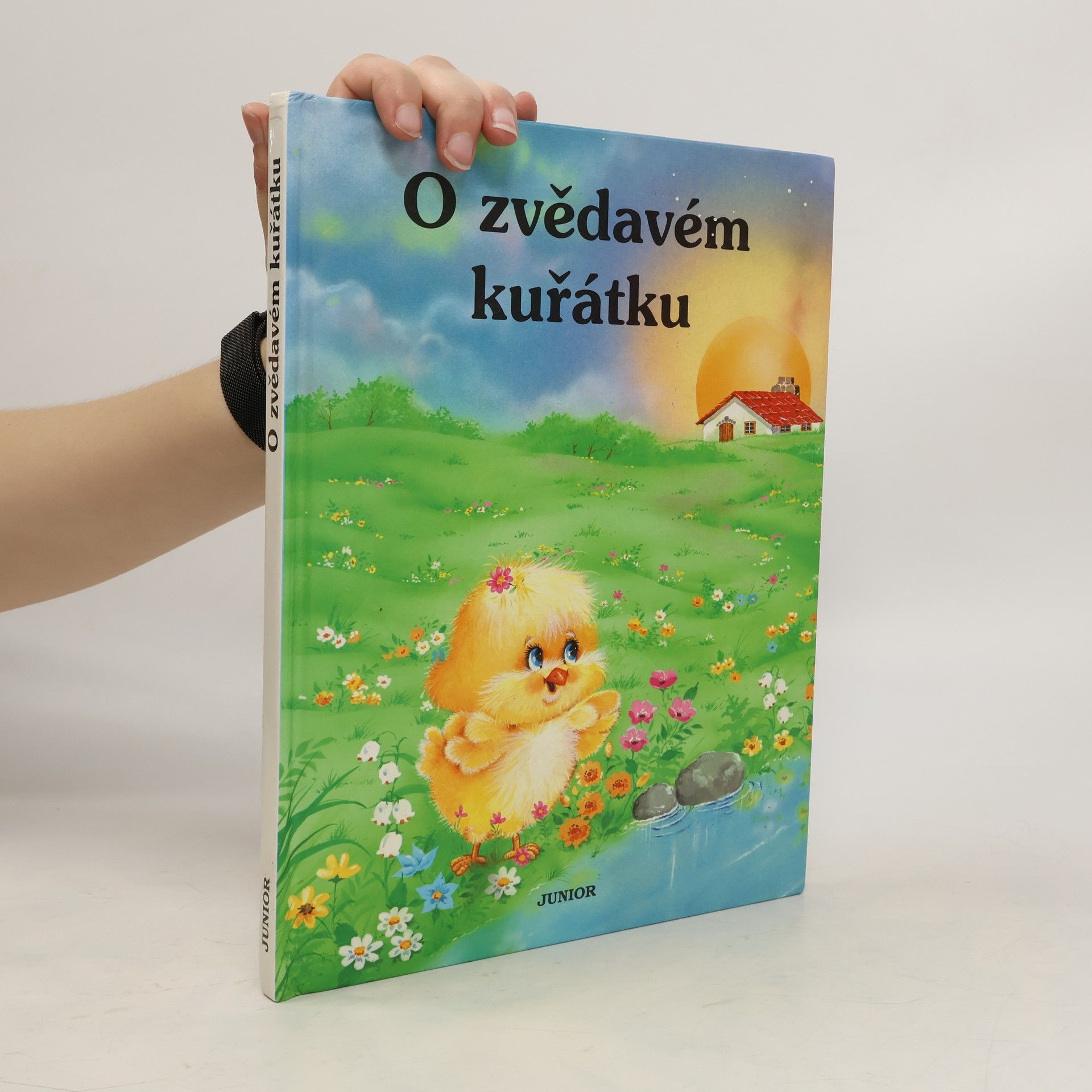 Maggiorina Castoldi O zvědavém kuřátku
