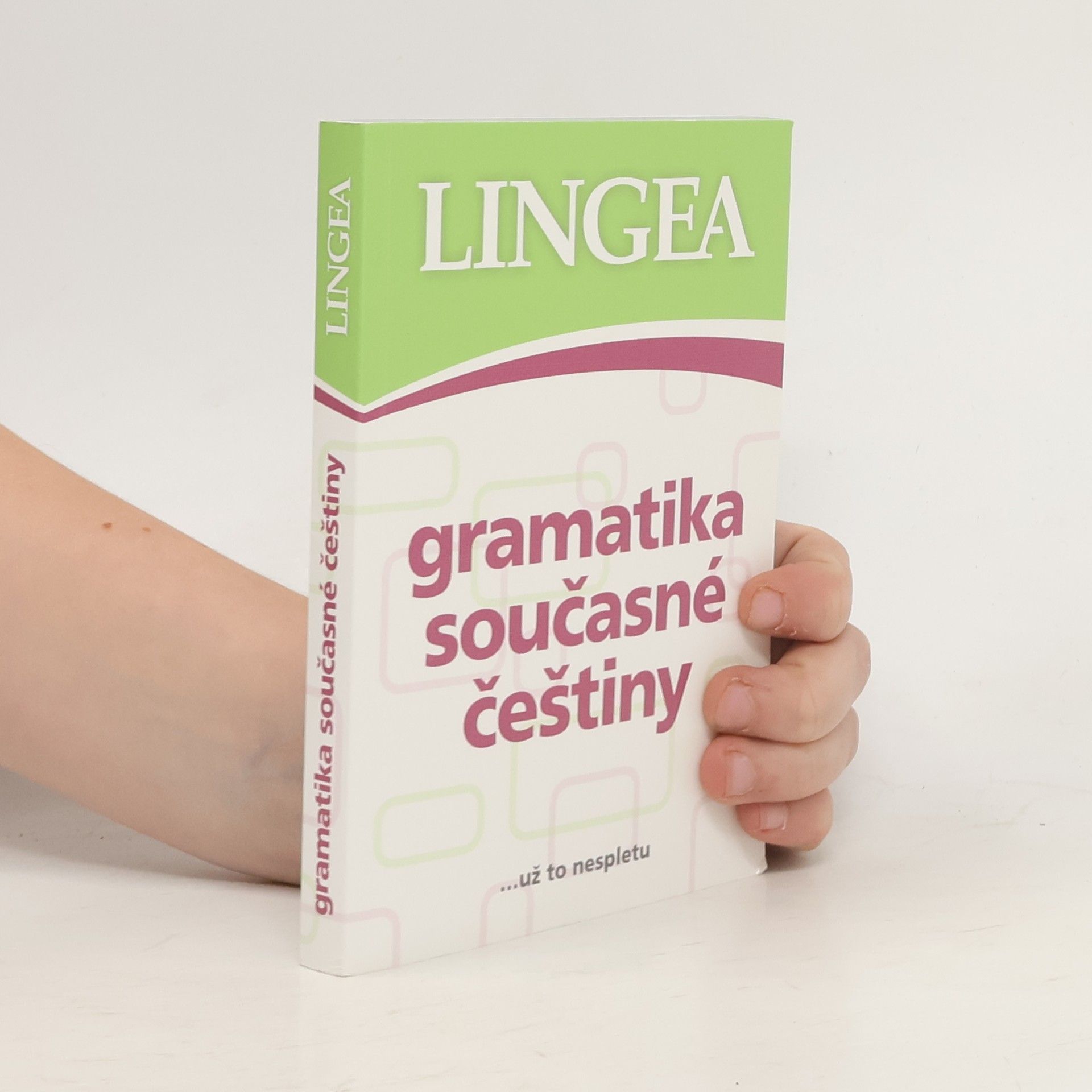 kolektiv Gramatika současné češtiny