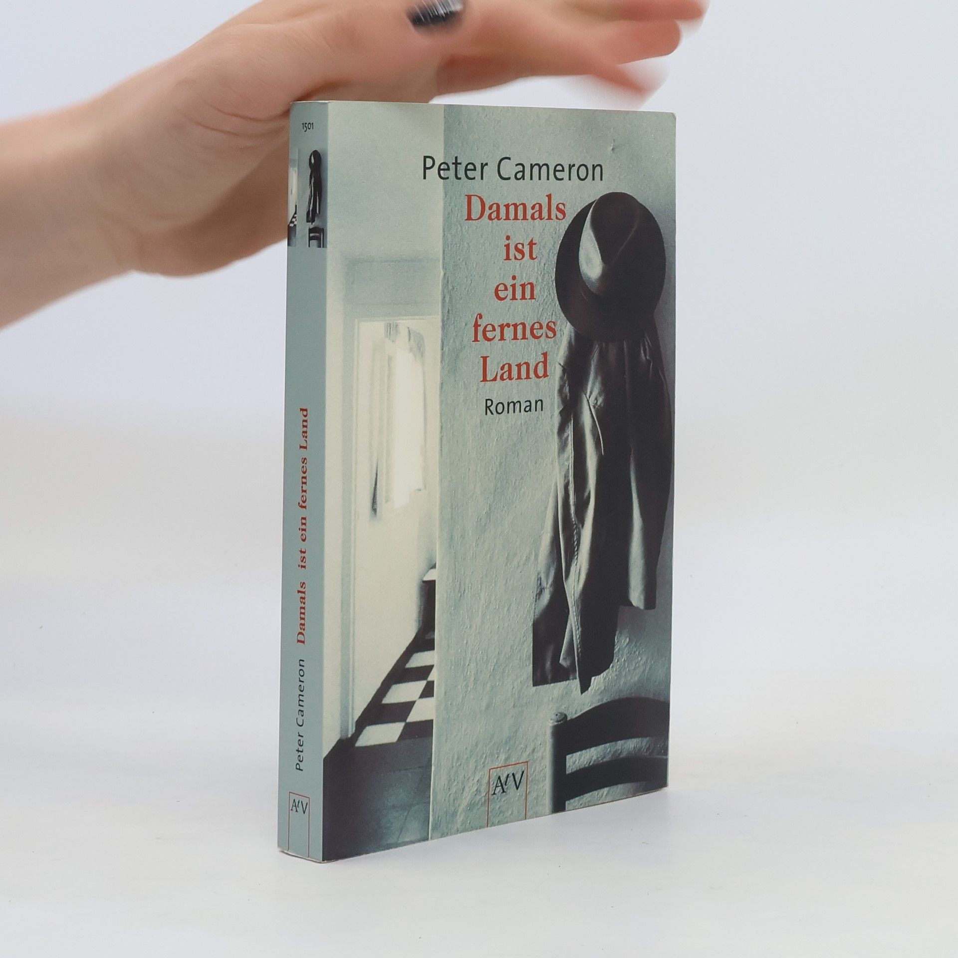 Peter Cameron Damals ist ein fernes Land