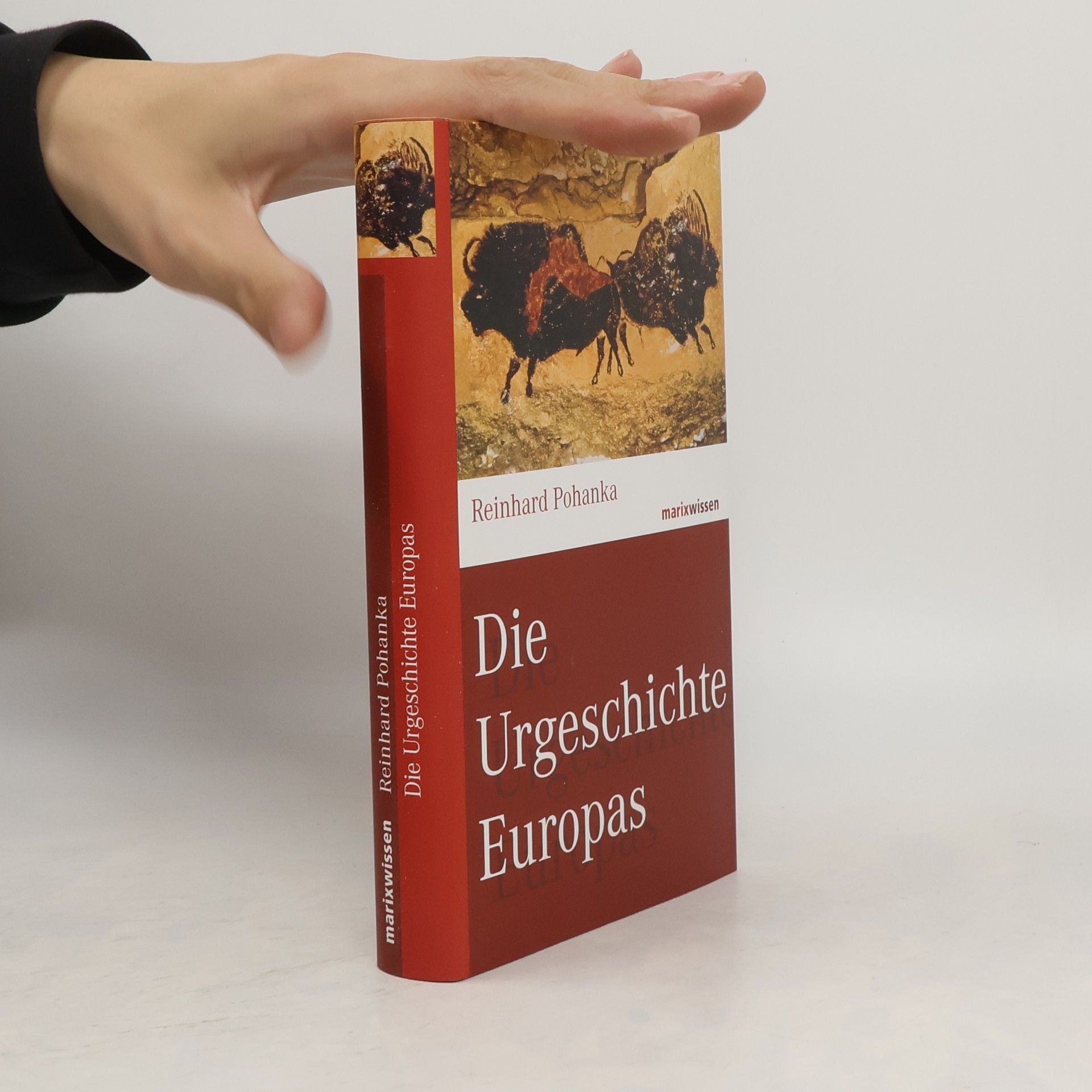 Reinhard Pohanka Die Urgeschichte Europas