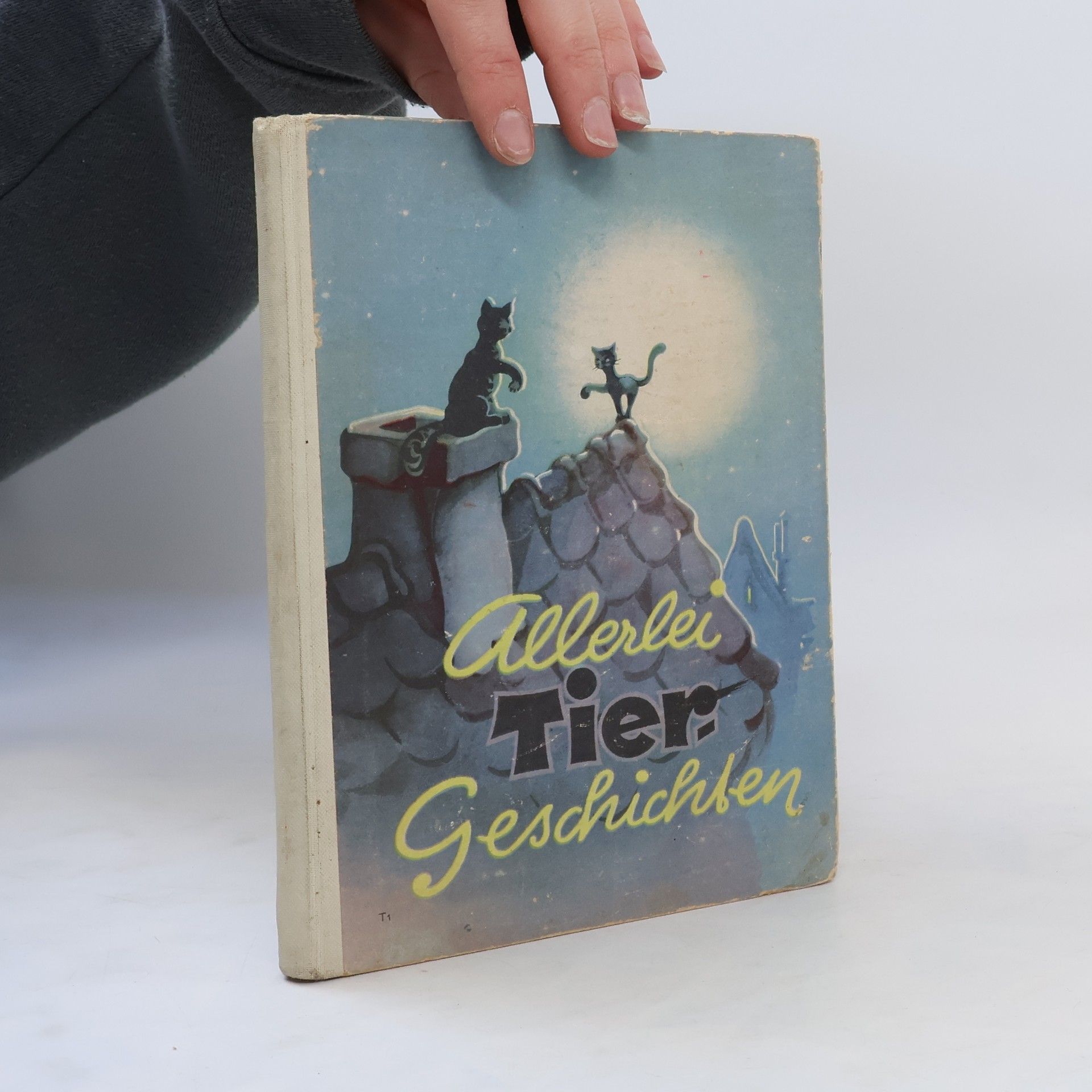 Kolektiv autorů Allerlei Tiergeschichten