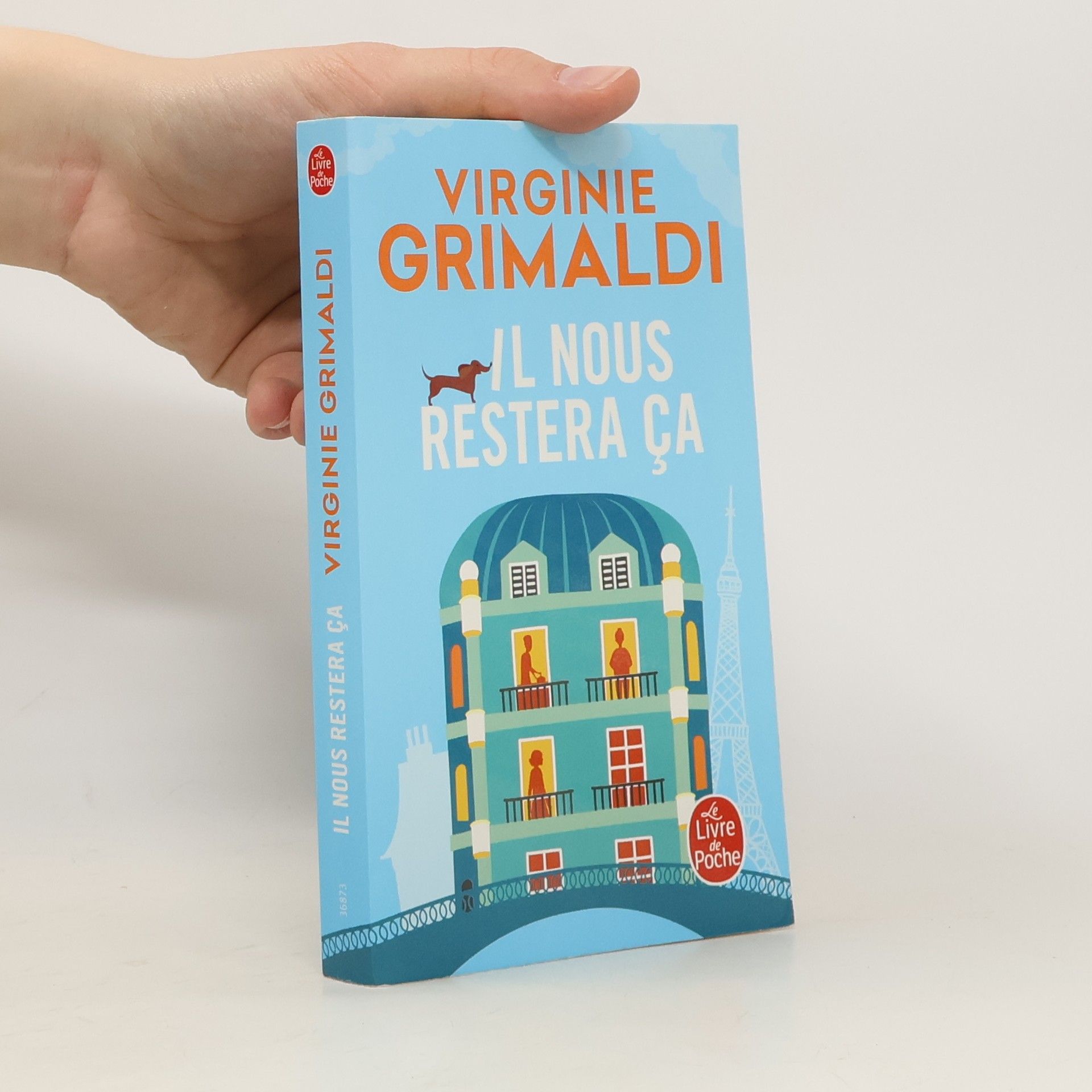 Virginie Grimaldi Il nous restera ça