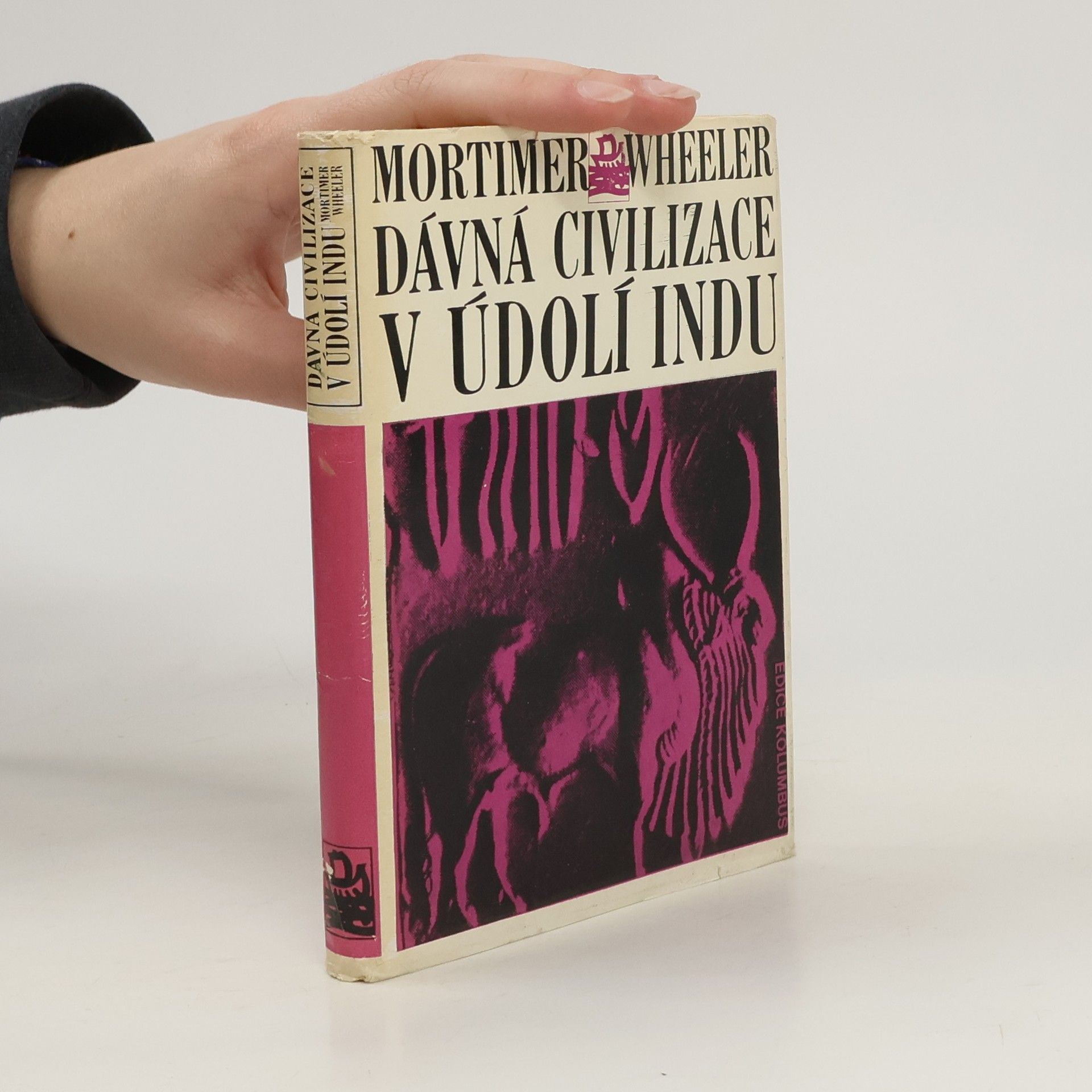 Jaroslav Vacek Dávná civilizace v údolí Indu
