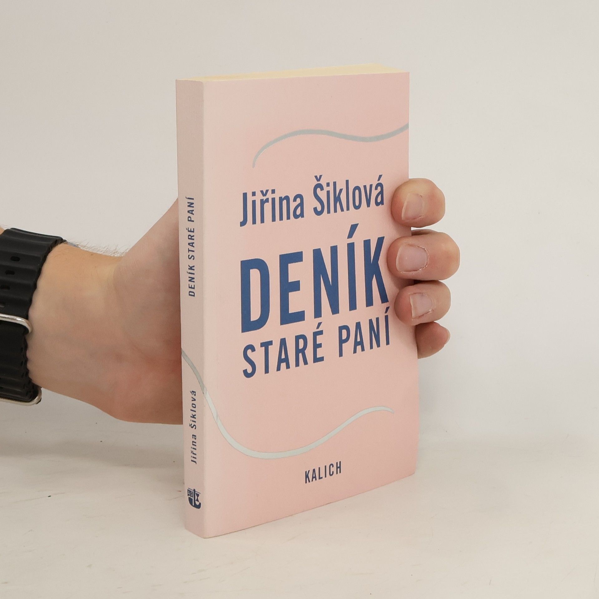 Jiřina Šiklová Deník staré paní