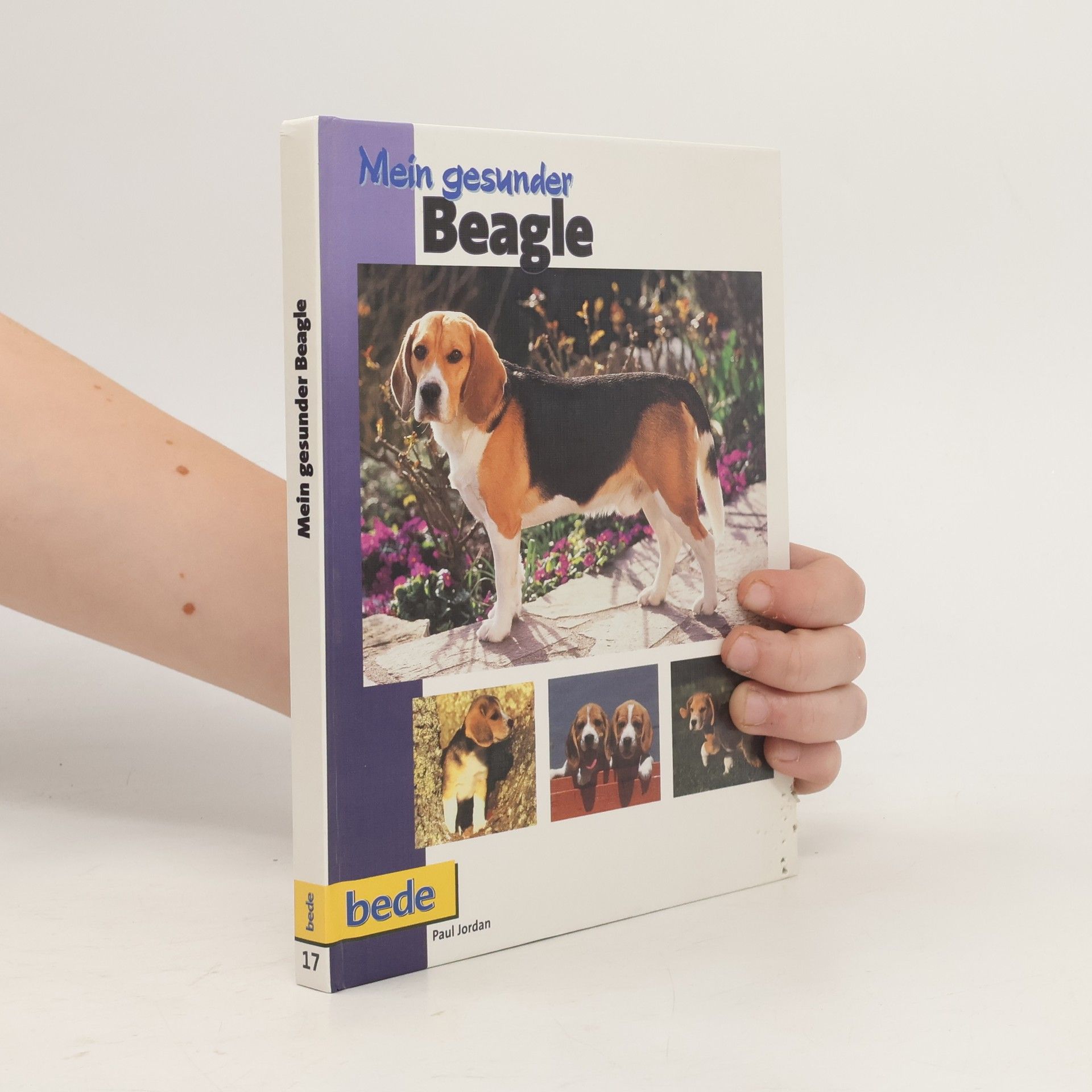 Paul Jordan Mein gesunder Beagle