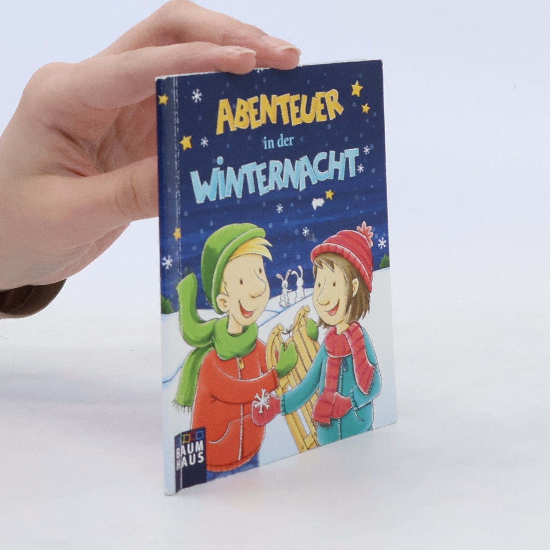 Autorenkollektiv Abenteuer in der Winternacht