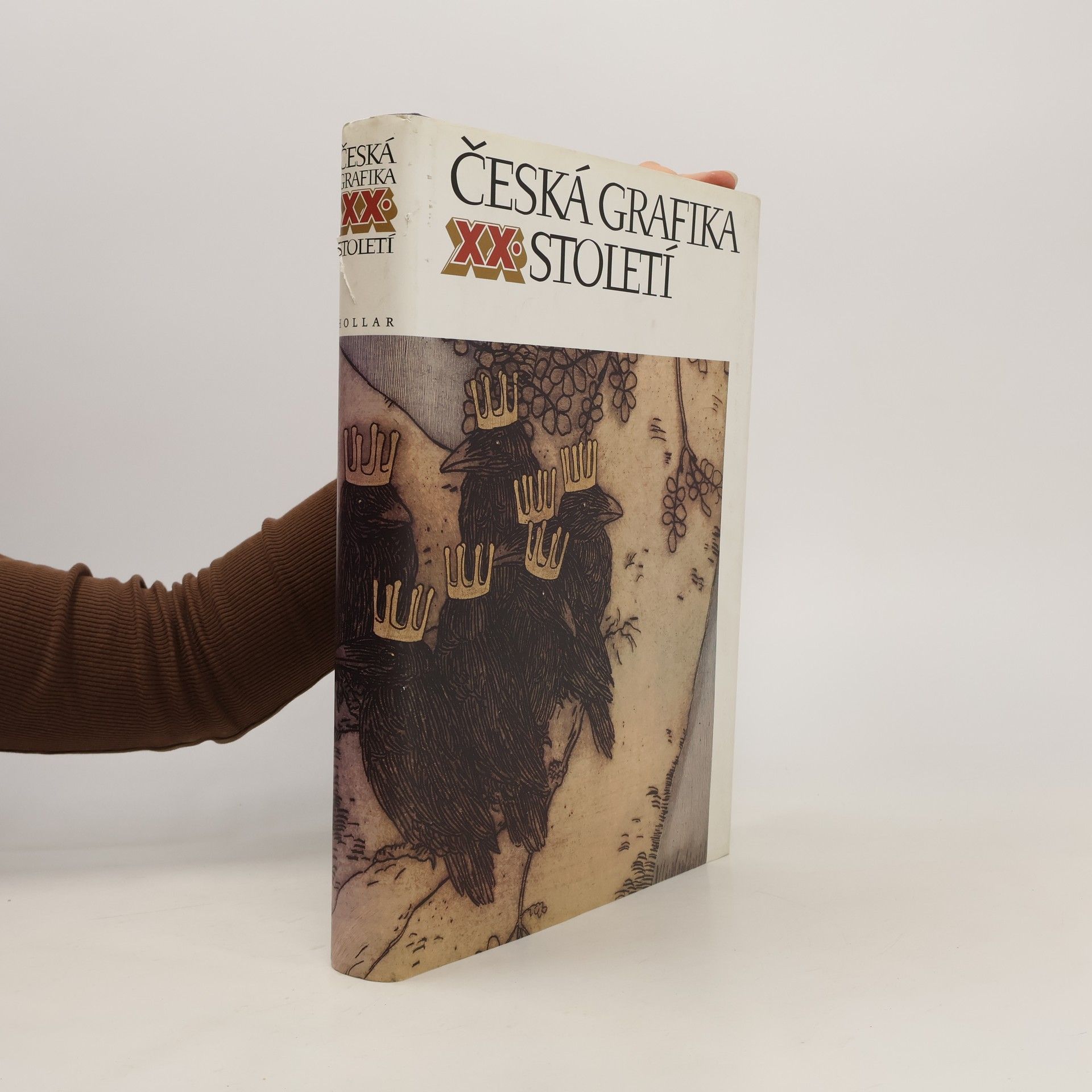 Kolektiv autorů Česká grafika XX. století