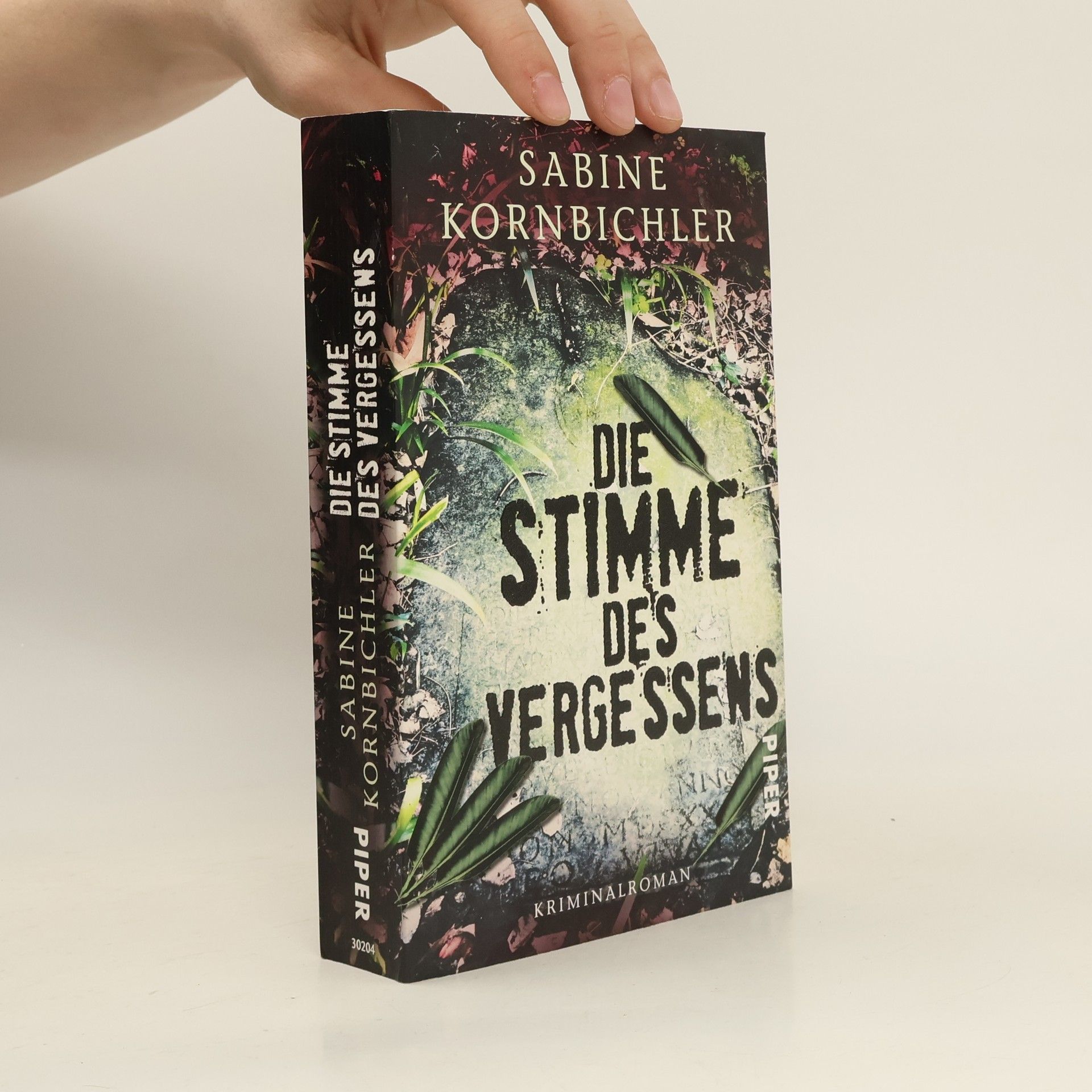 Sabine Kornbichler Die Stimme des Vergessens