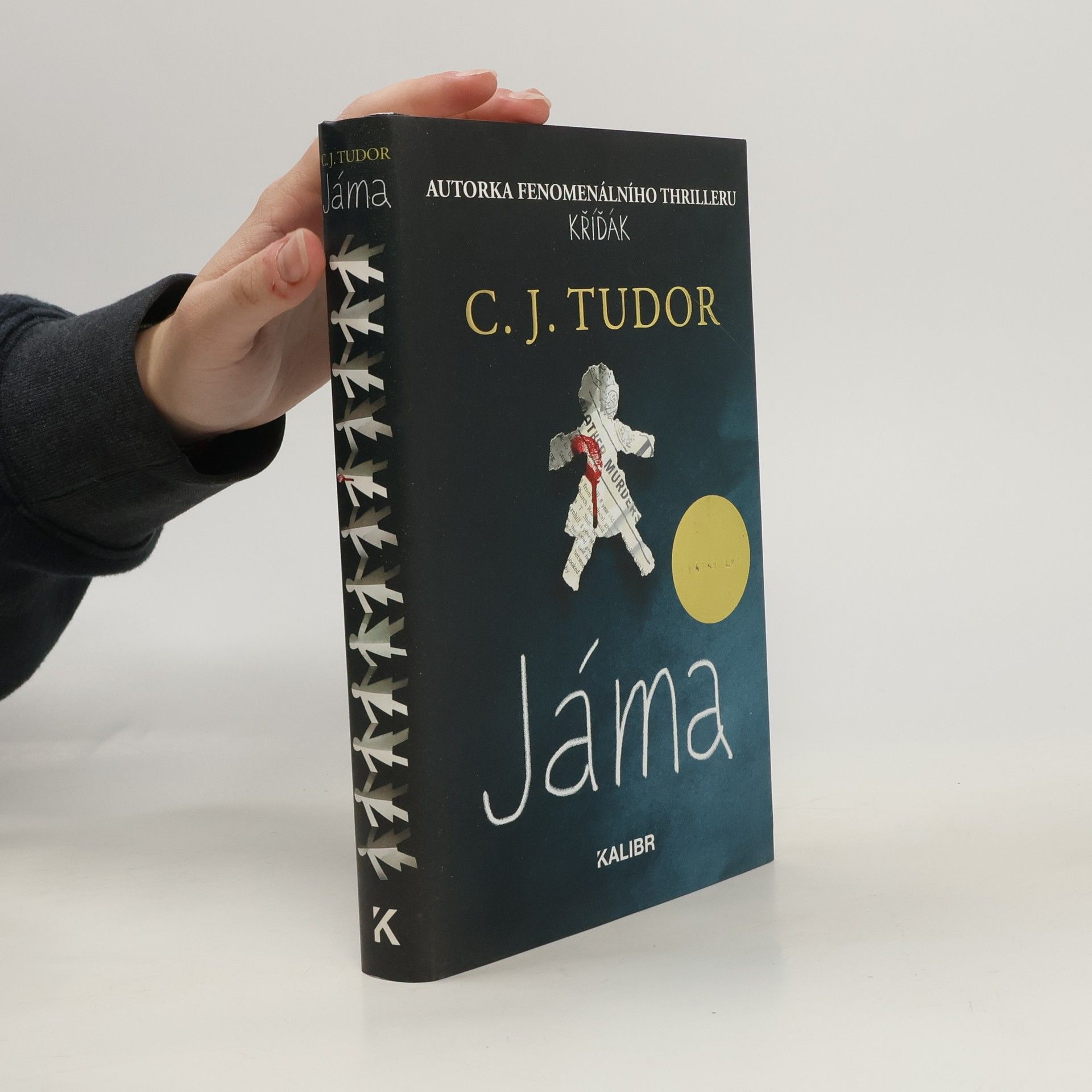 C. J. Tudor Jáma