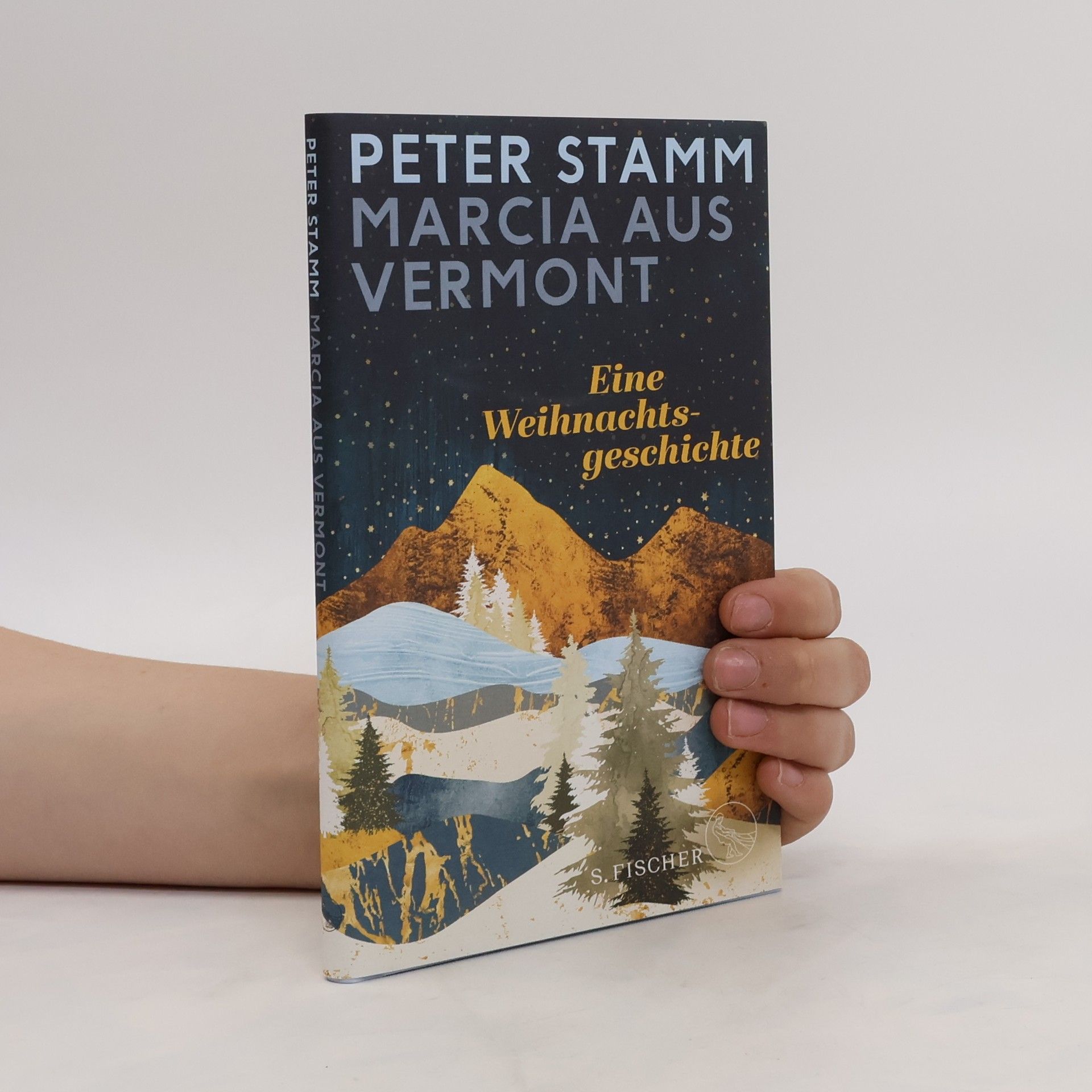 Peter Stamm Marcia aus Vermont