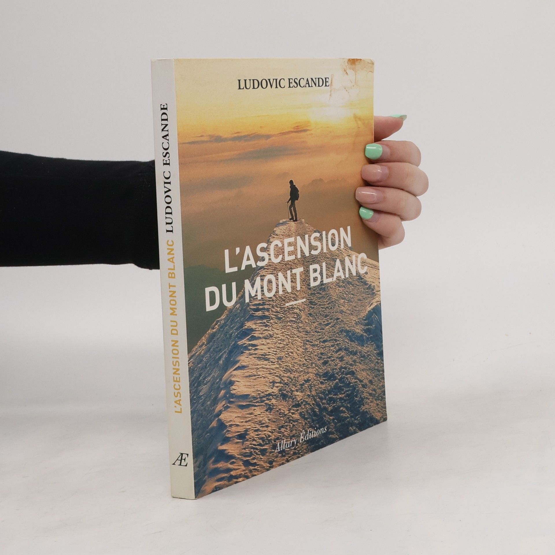 Ludovic Escande L'ascension du Mont Blanc
