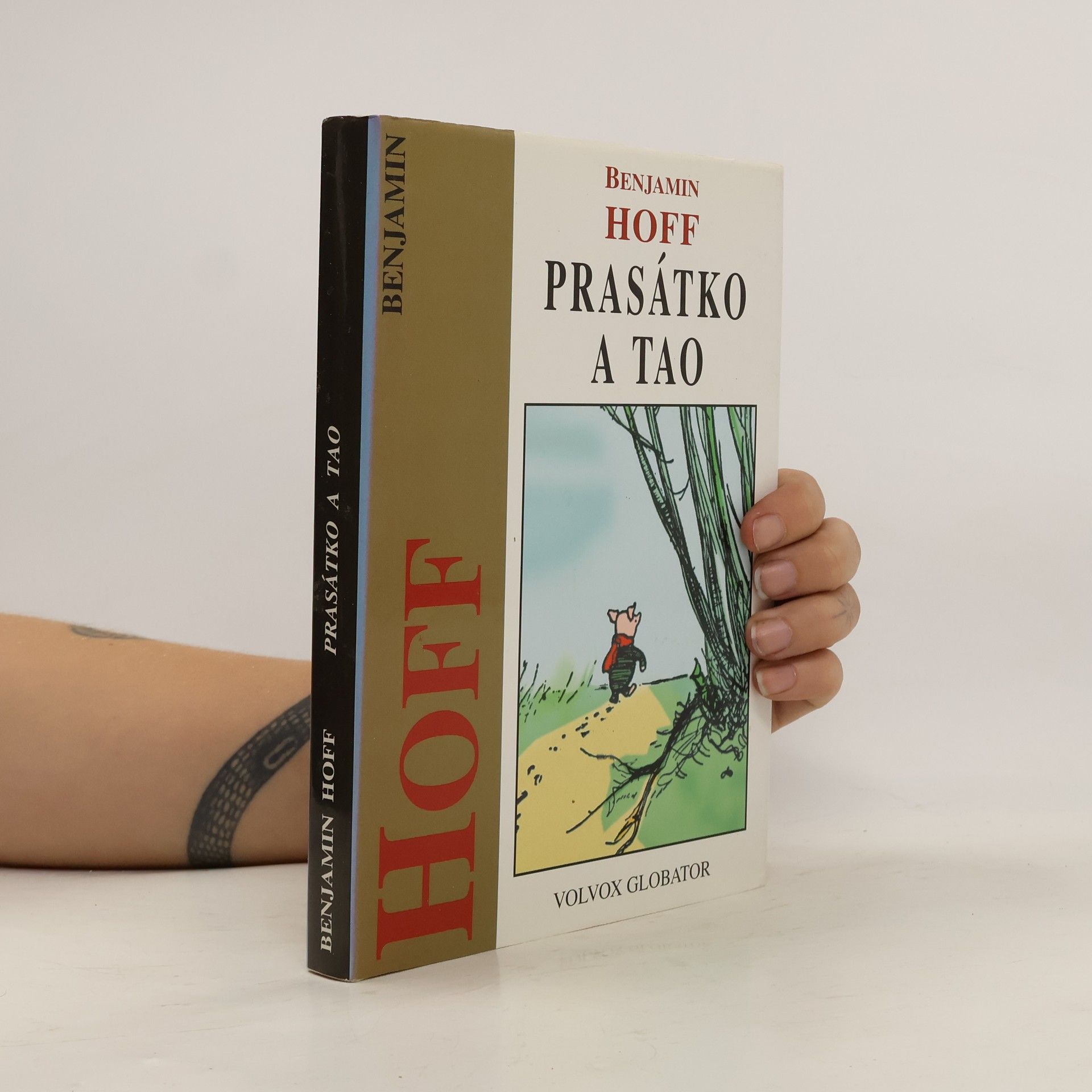 Benjamin Hoff Prasátko a Tao