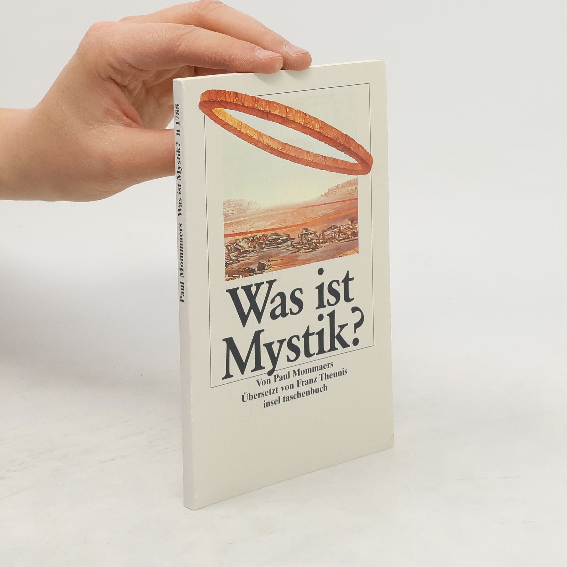 Paul Mommaers Was ist Mystik?
