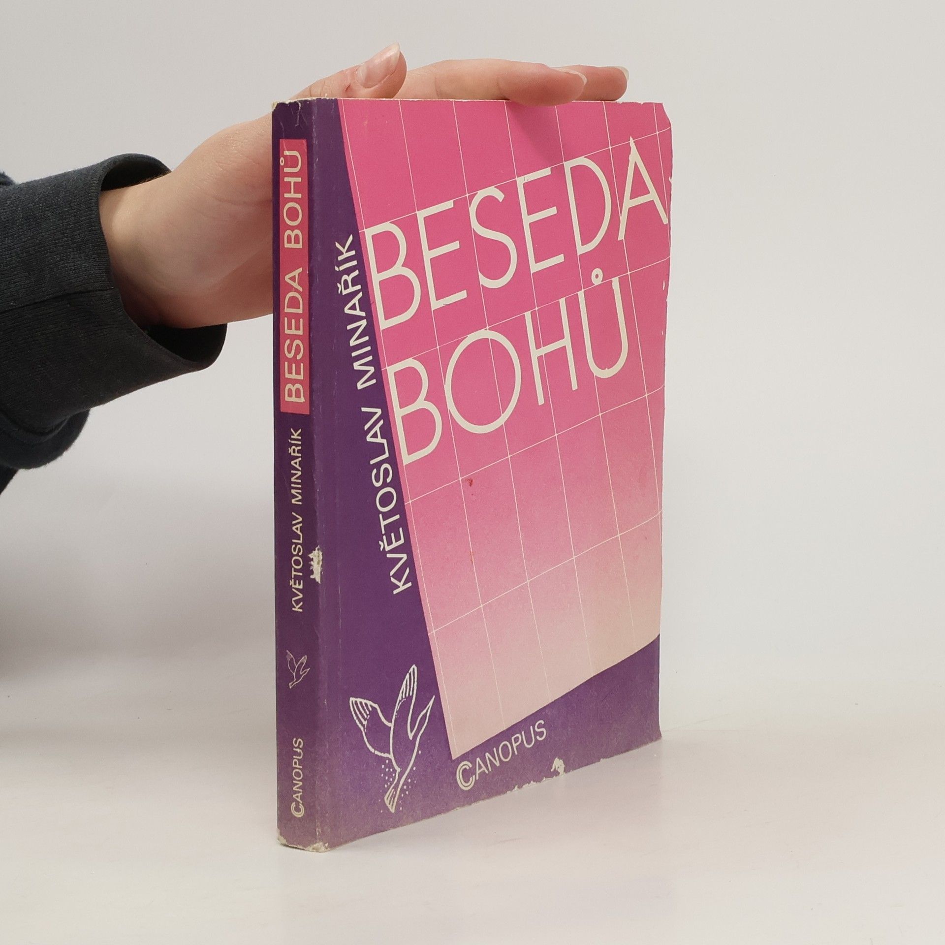 Květoslav Minařík Beseda bohů