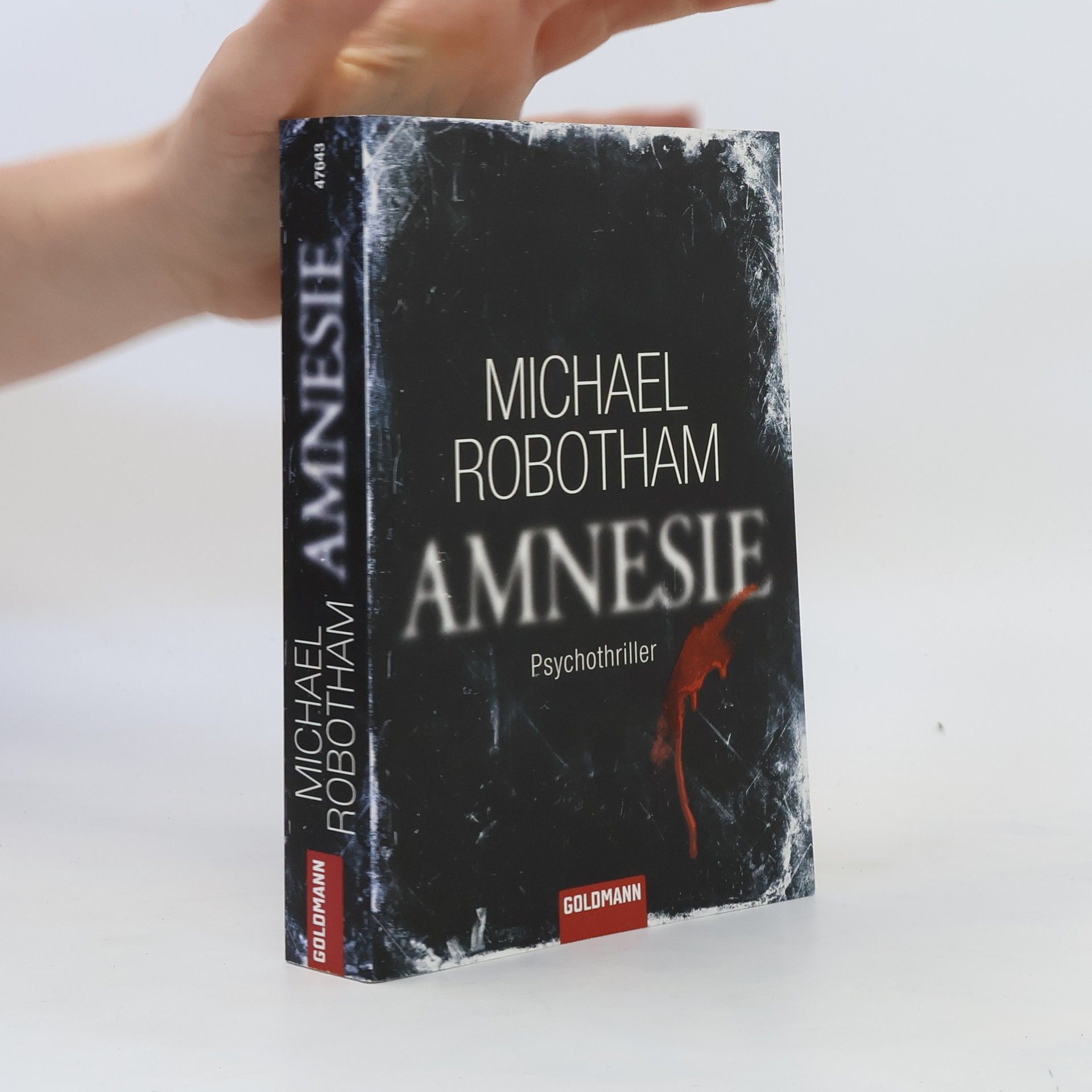 Michael Robotham Amnesie