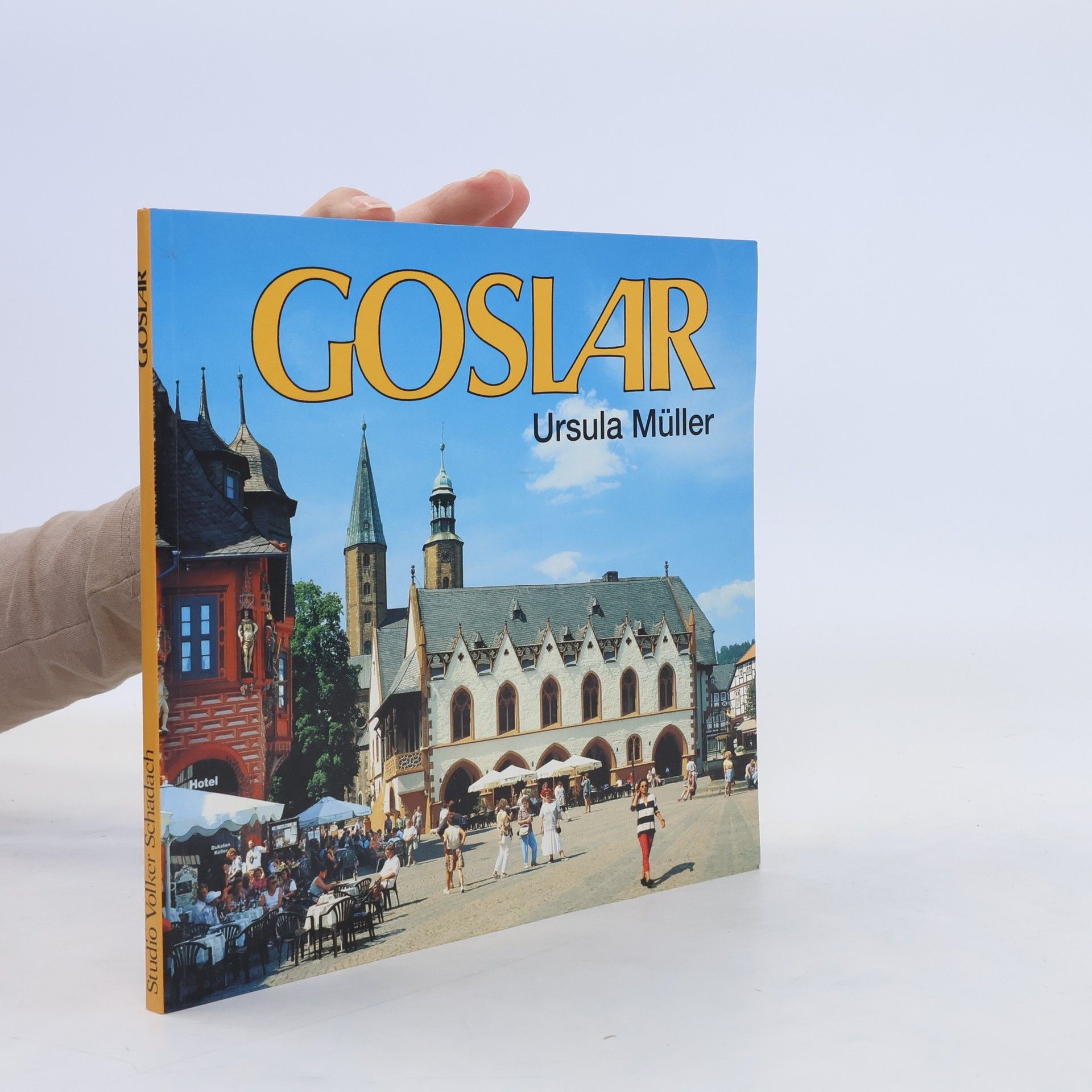 Ursula Müller-TerJung Weltkulturerbe Goslar