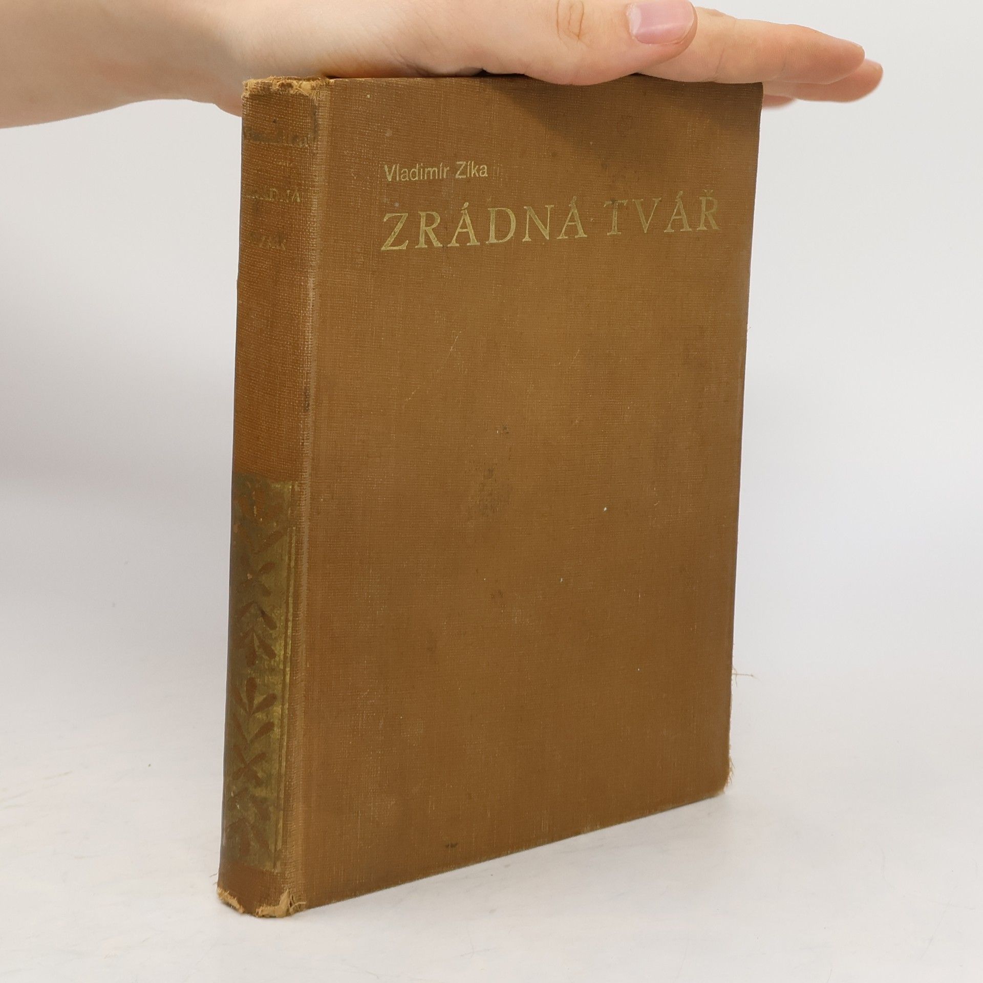 Vláďa Zíka Zrádná tvář