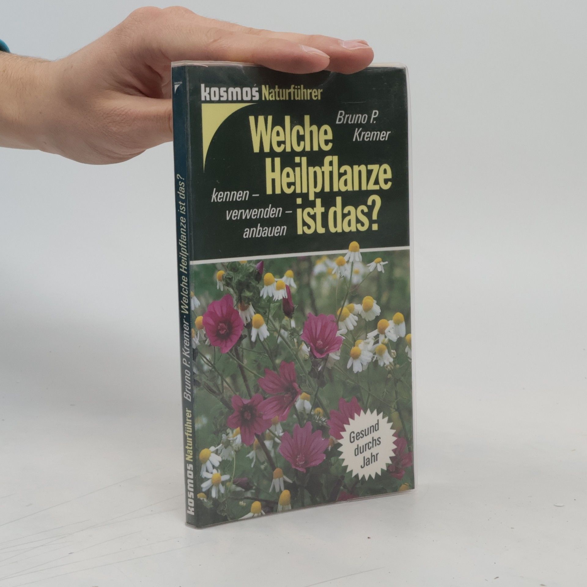 Bruno Kremer Welche Heilpflanze ist das?