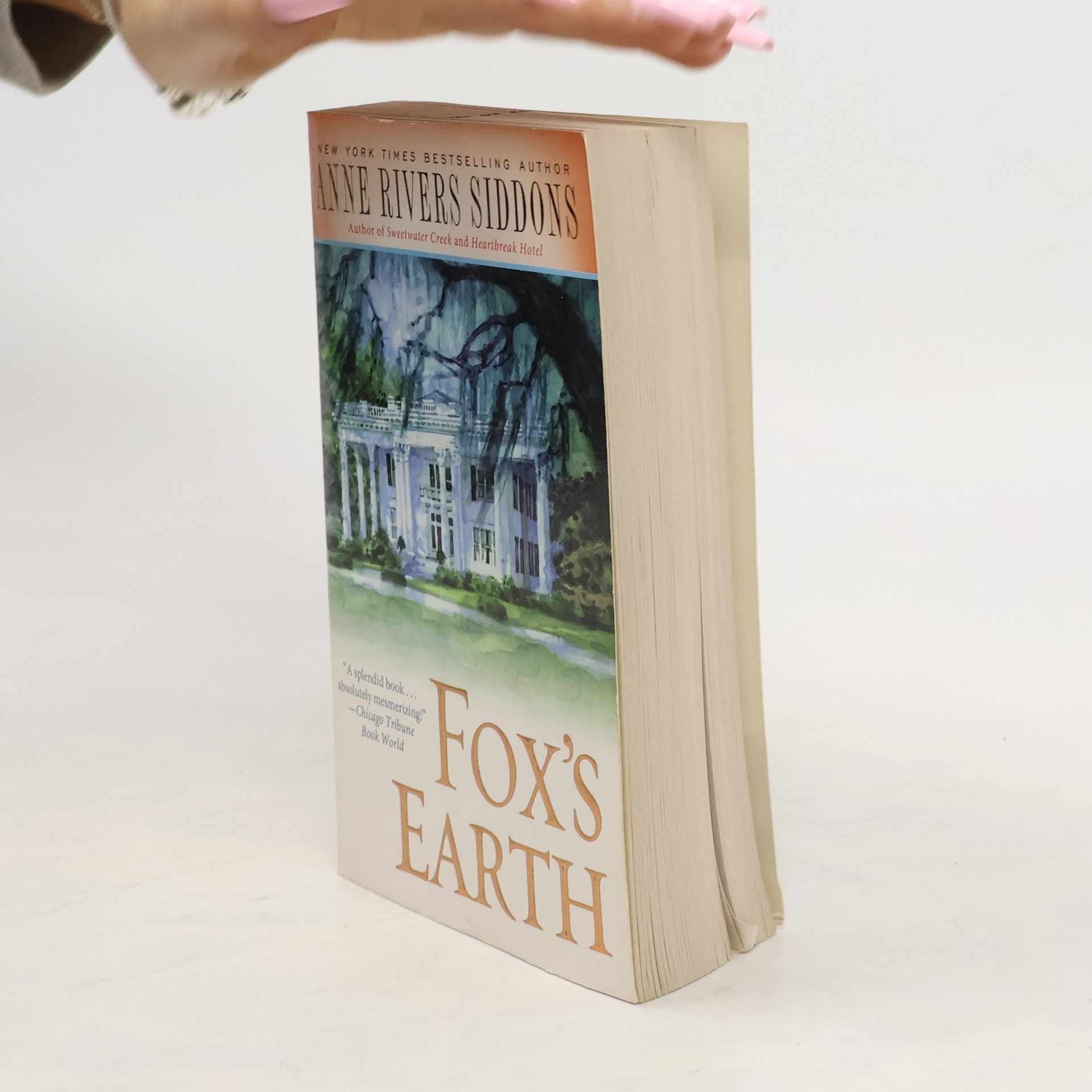 Anne Rivers Siddons Fox's Earth
