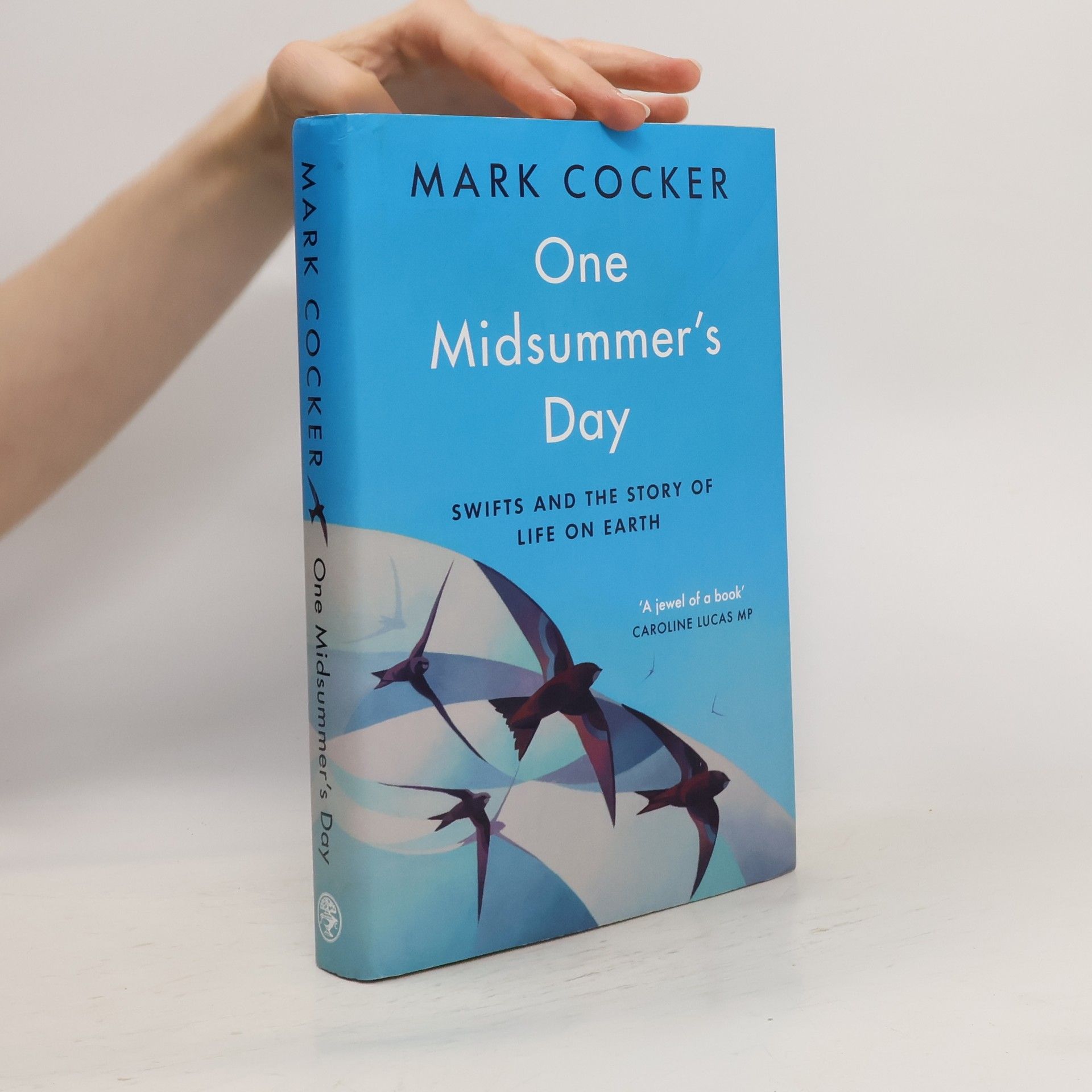 Mark Cocker One Midsummer's Day