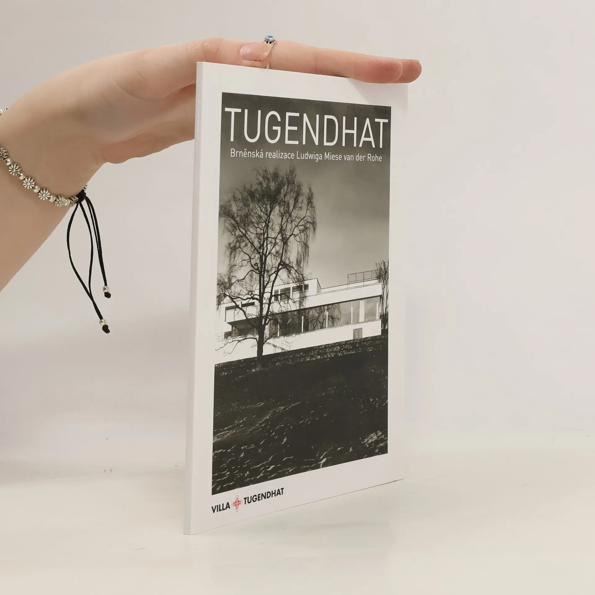 Tugendhat : brněnská realizace Ludwiga Miese van der Rohe | Book | Iveta Černá | CS