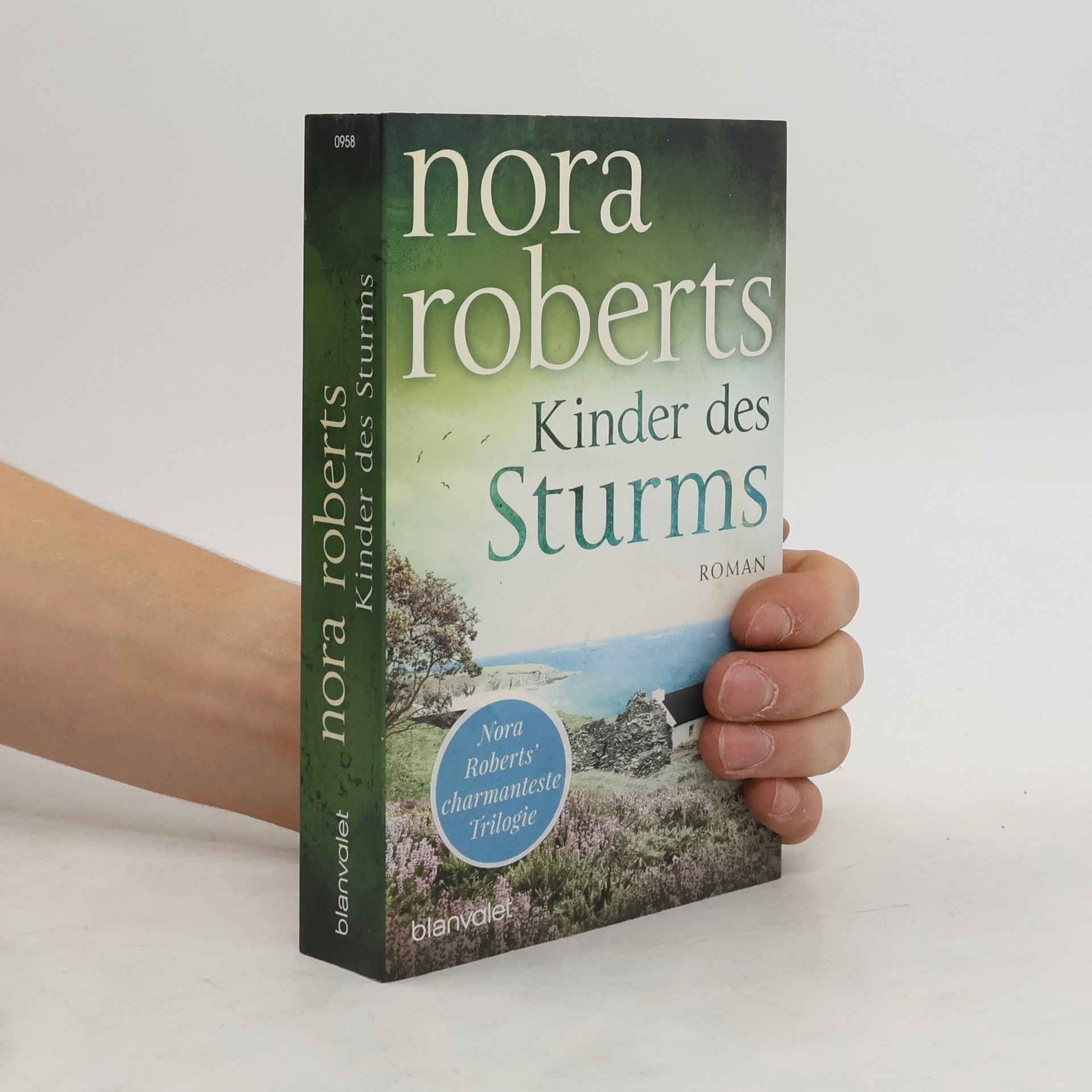 Nora Roberts Kinder des Sturms