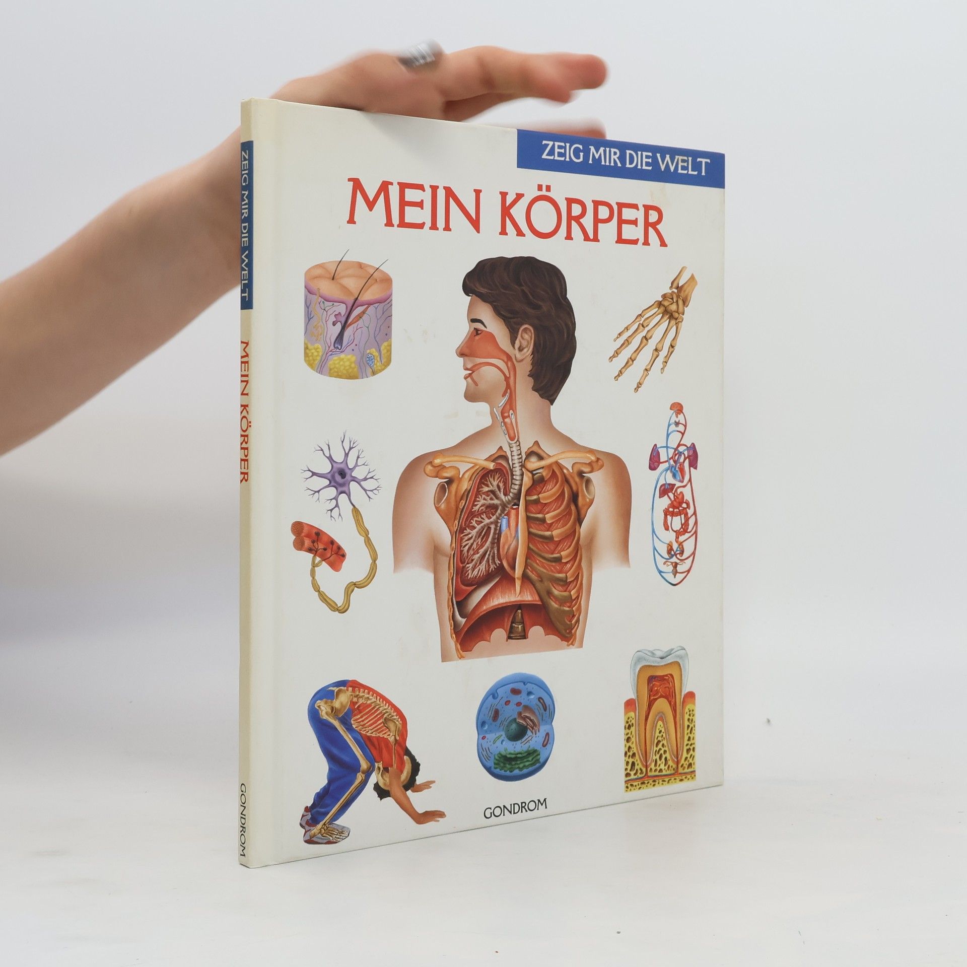 Andreas Piel Mein Körper