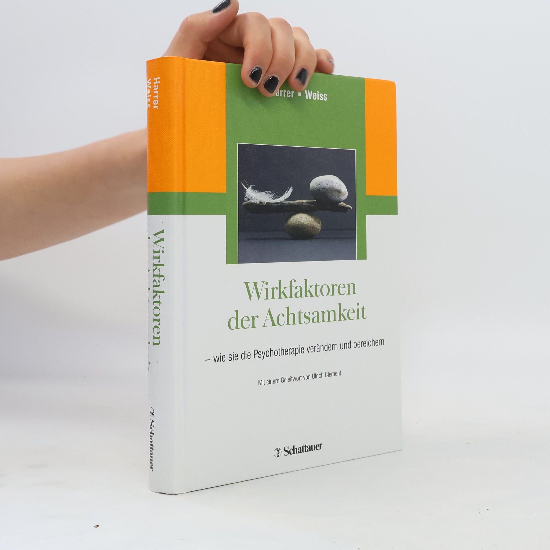Michael E. Harrer Wirkfaktoren der Achtsamkeit - wie sie die Psychotherapie verändern und bereichern