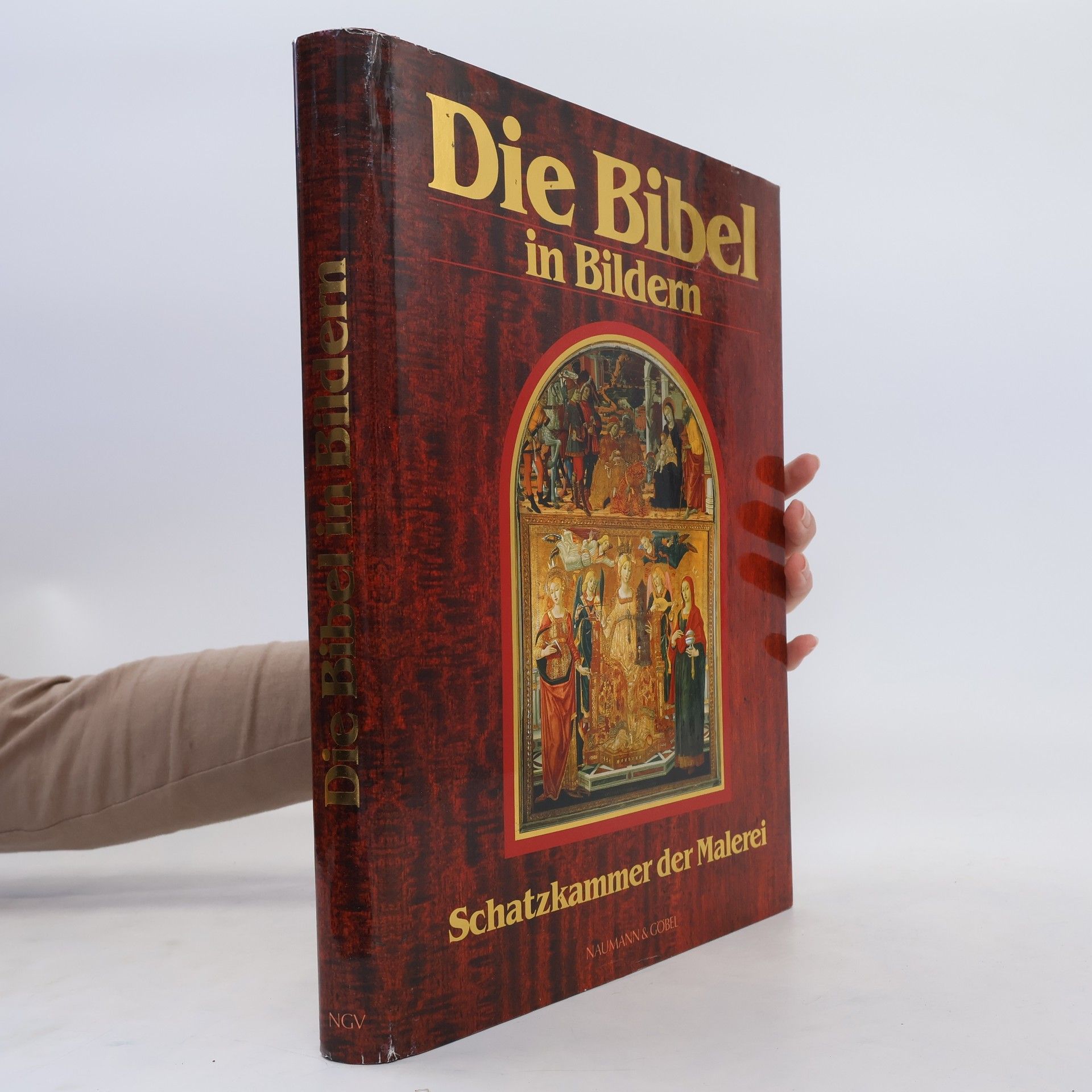 Collective Die Bibel in Bildern. Schatzkammer der Malerei