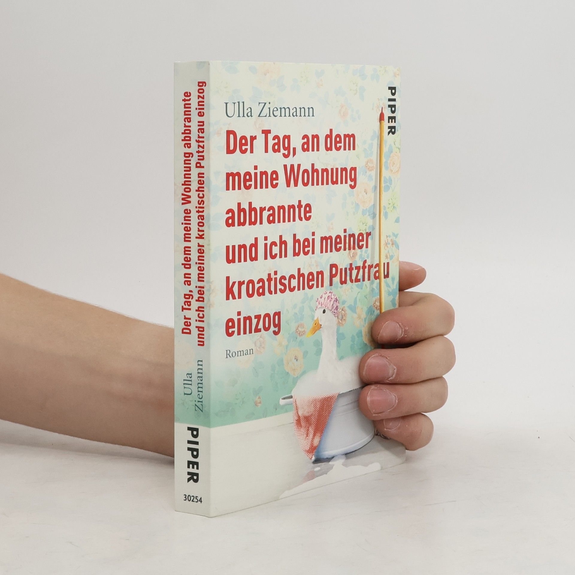 Ulla Ziemann Der Tag, an dem meine Wohnung abbrannte und ich bei meiner kroatischen Putzfrau einzog