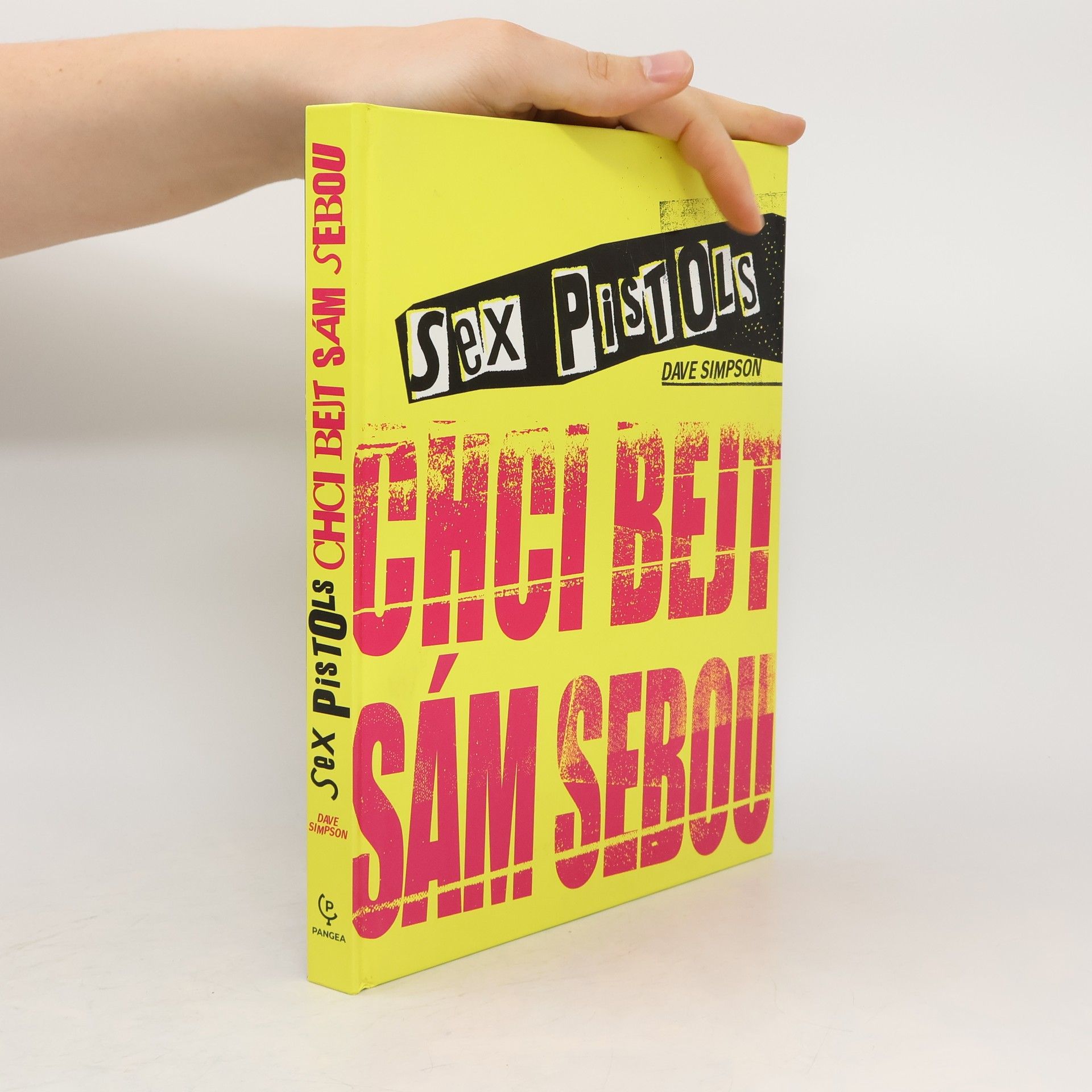 Zdeněk Gazur Sex Pistols. Chci bejt sám sebou