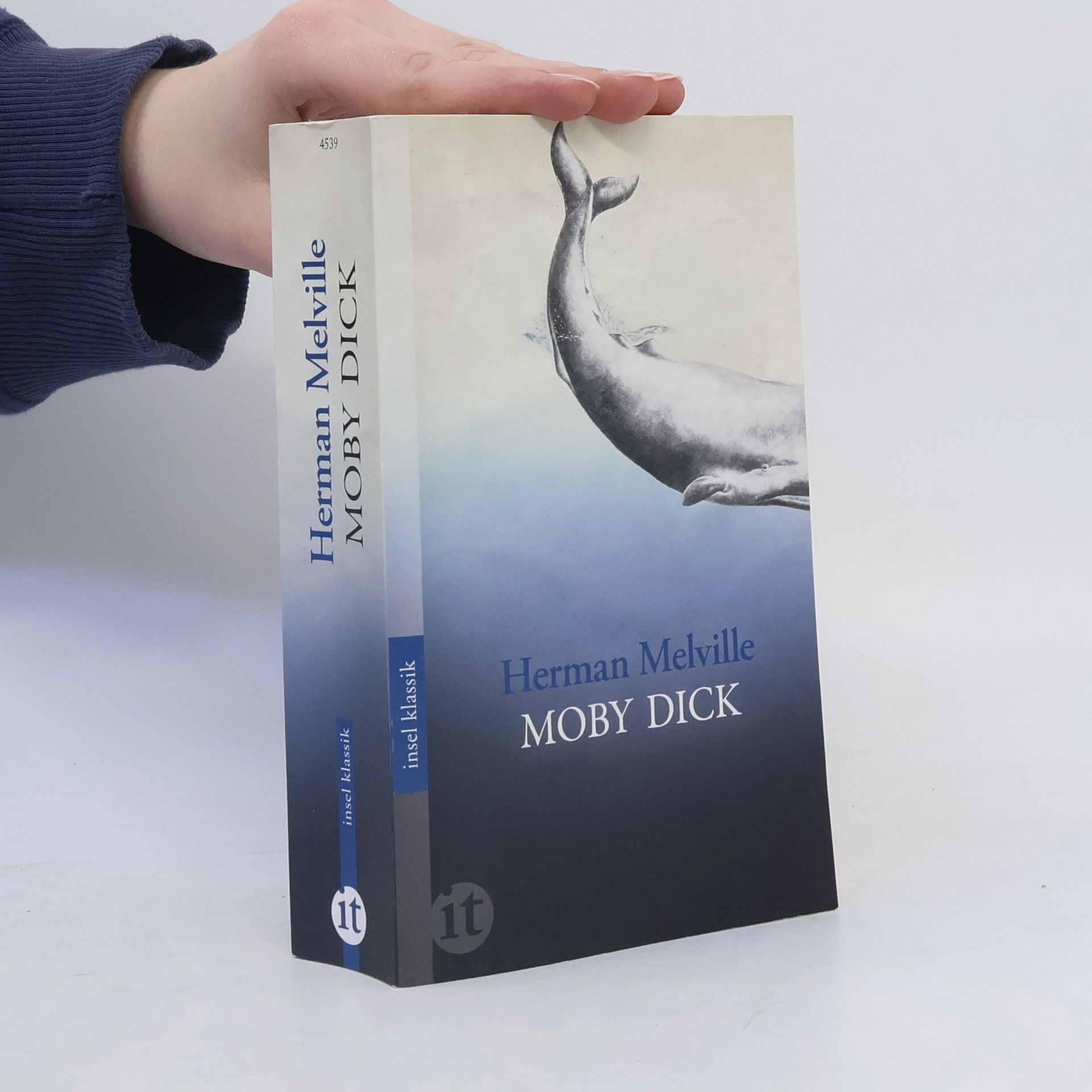 Herman Melville Moby Dick