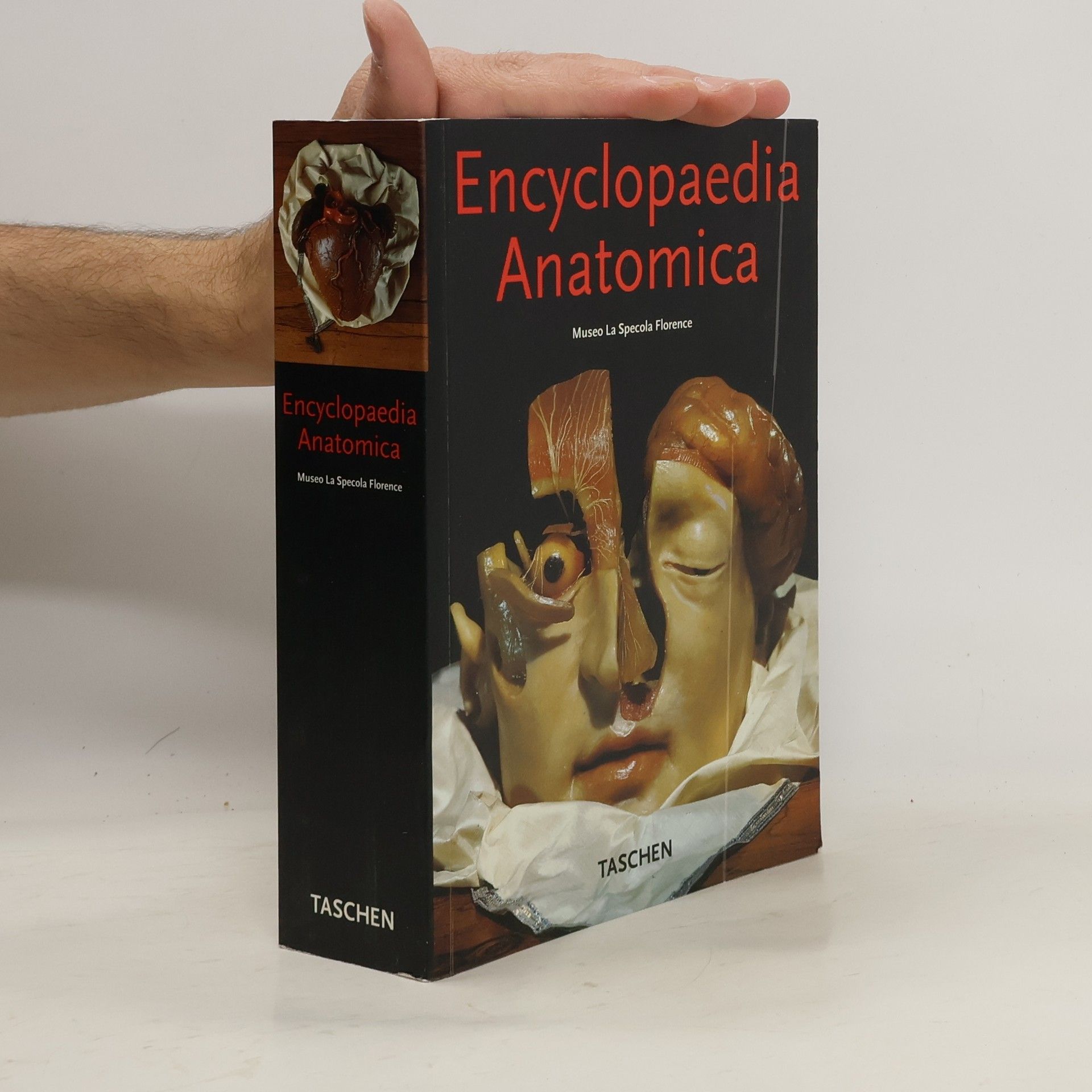 Monika von Düring Encyclopaedia anatomica