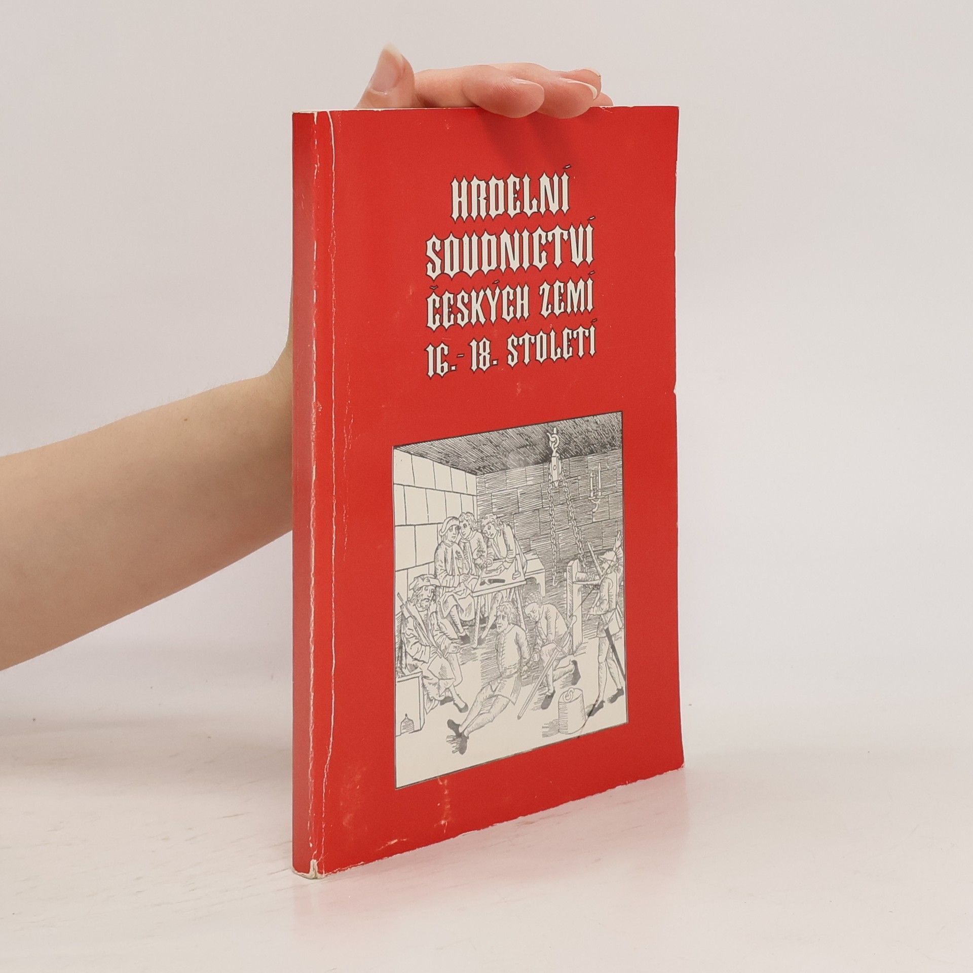 Autorenkollektiv Hrdelní soudnictví českých zemí v 16.-18. století