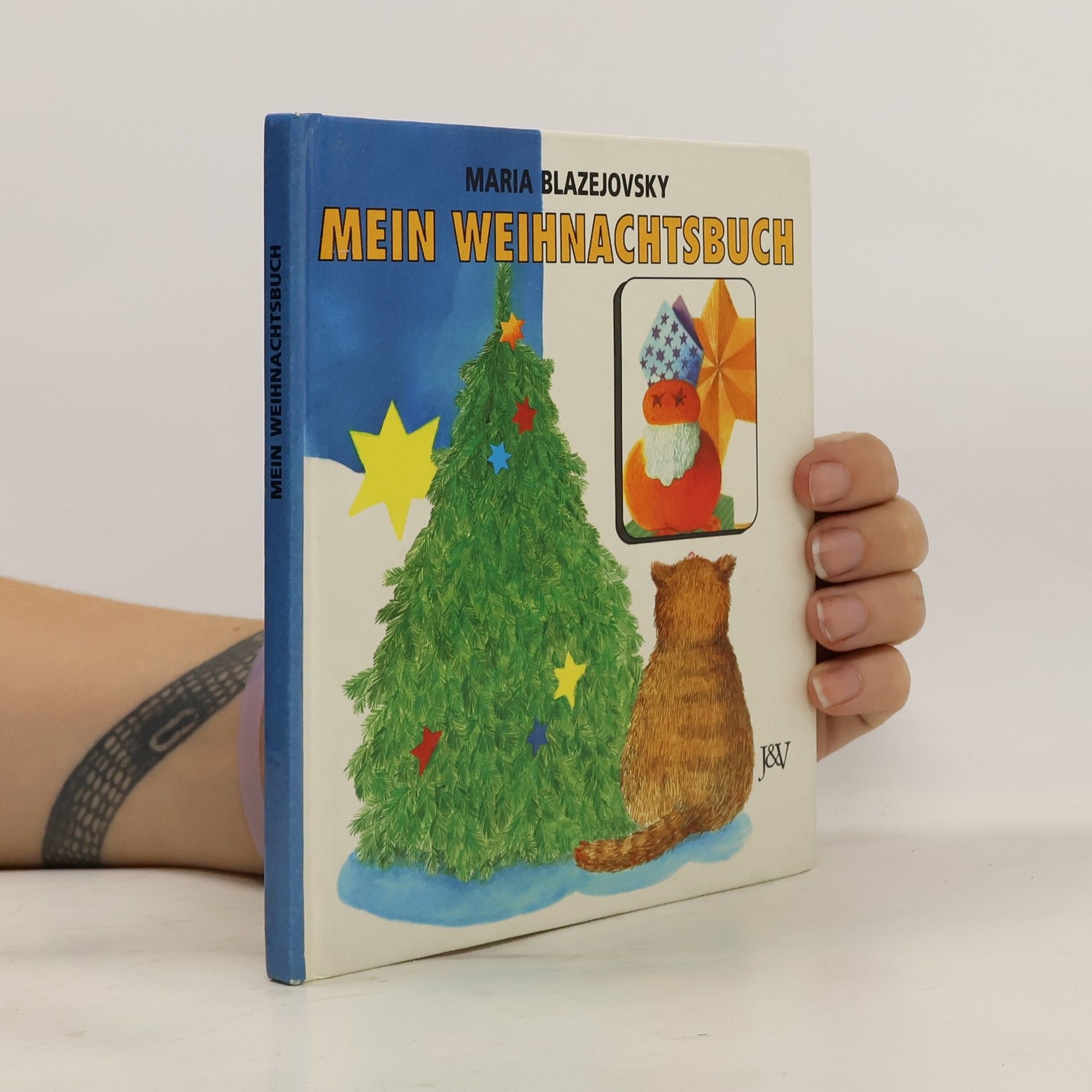 Maria Blazejovsky Mein Weihnachtsbuch