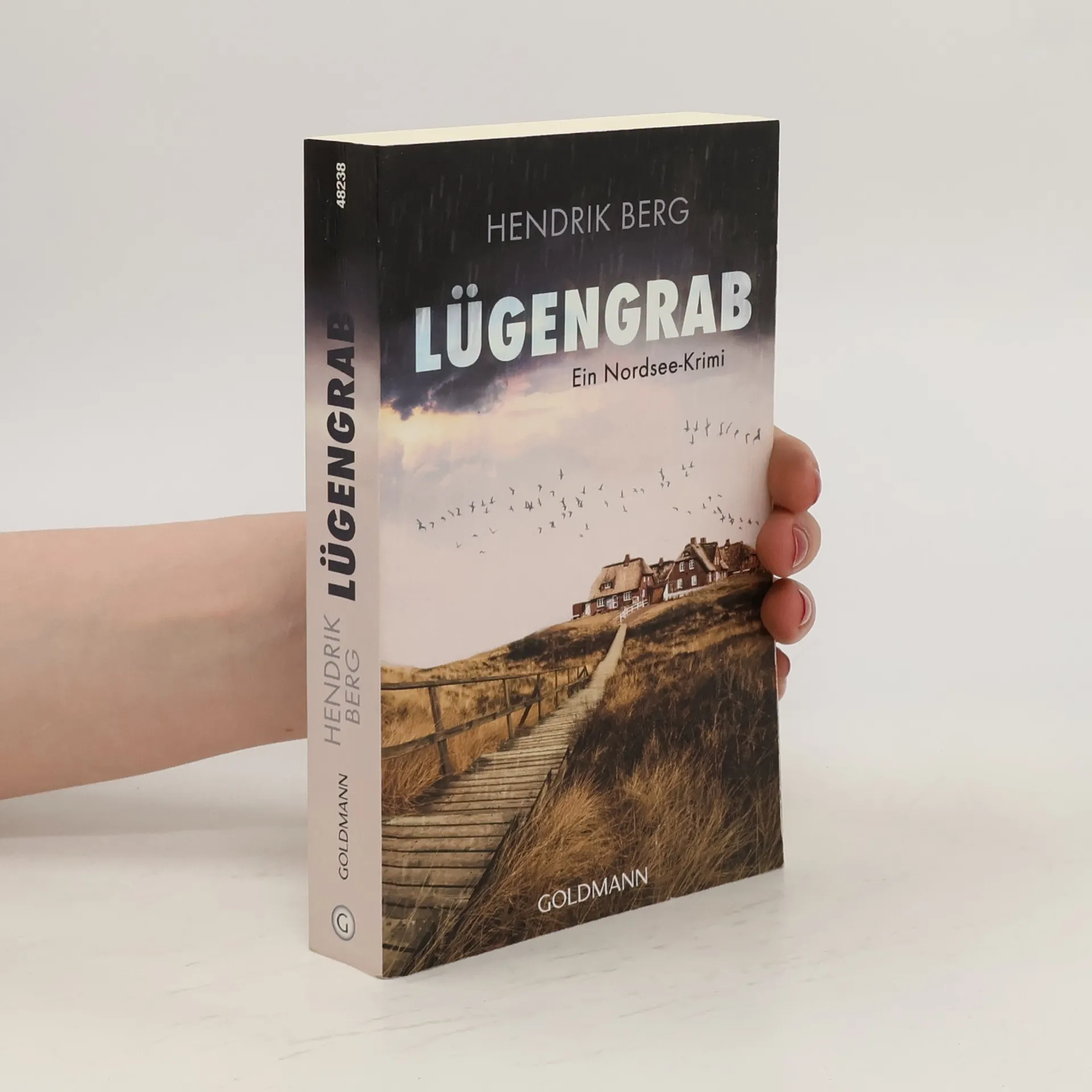 Lügengrab | Livre | Hendrik Berg | DE