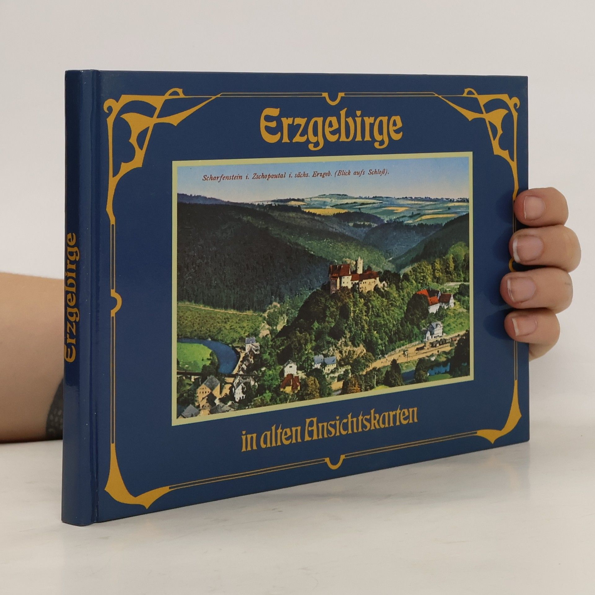 Werner Martin Dienel Erzgebirge in alten Ansichtskarten