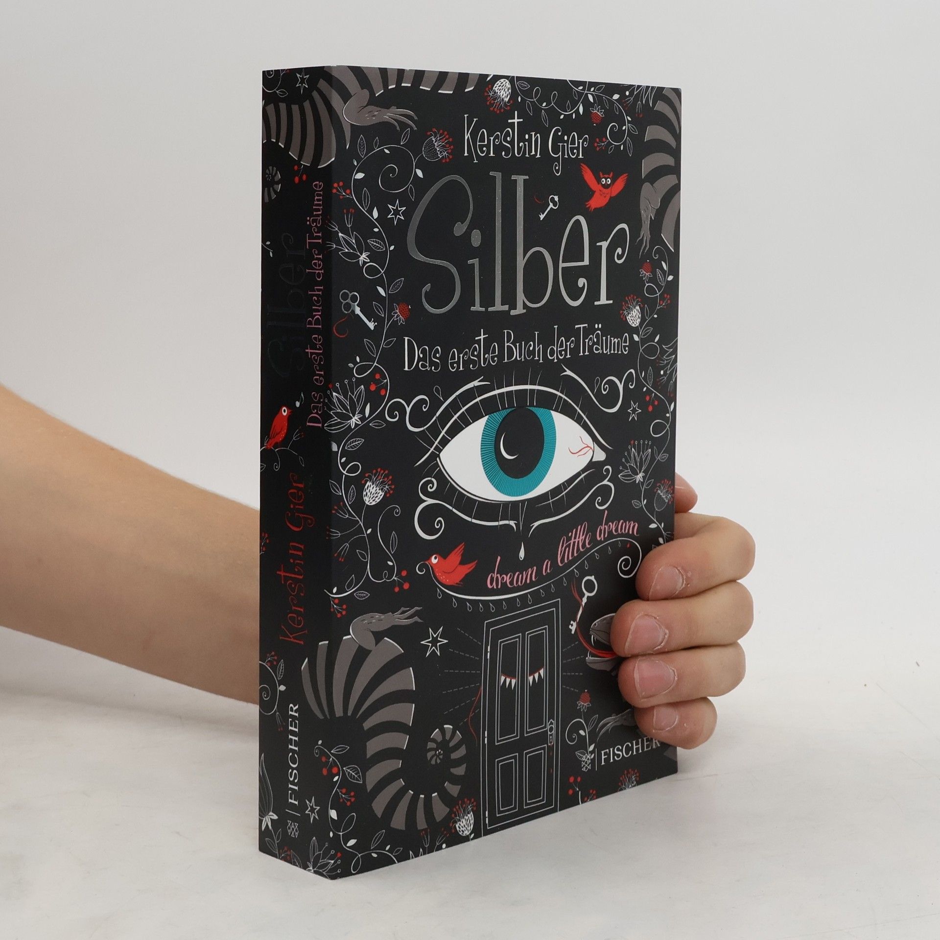 Kerstin Gier Silber - Das erste Buch der Träume