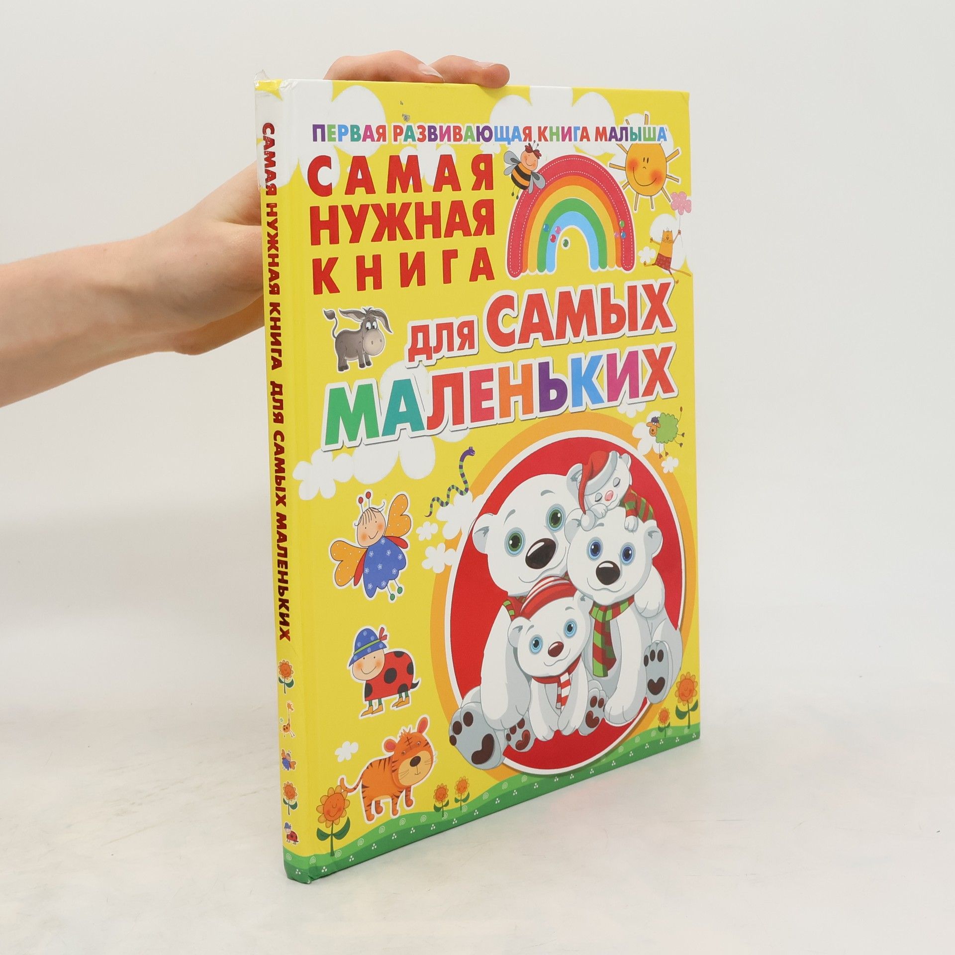 Autorenkollektiv Самая нужная книга для самых маленьких