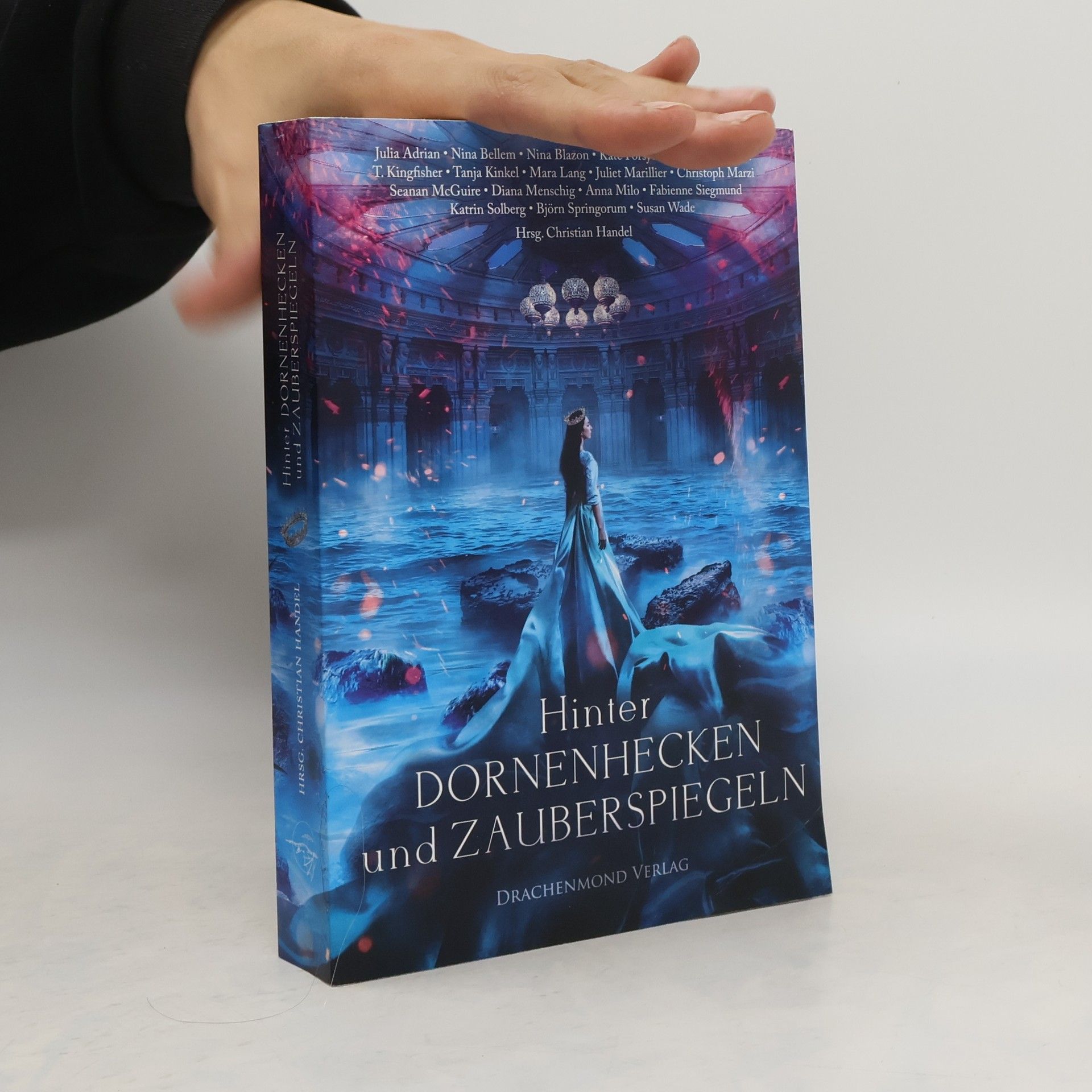 Julia Adrian Hinter Dornenhecken und Zauberspiegeln