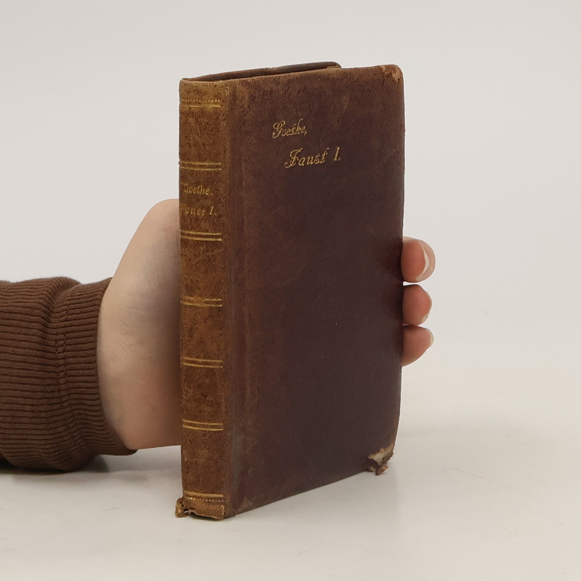 Johann Wolfgang von Goethe Faust 1