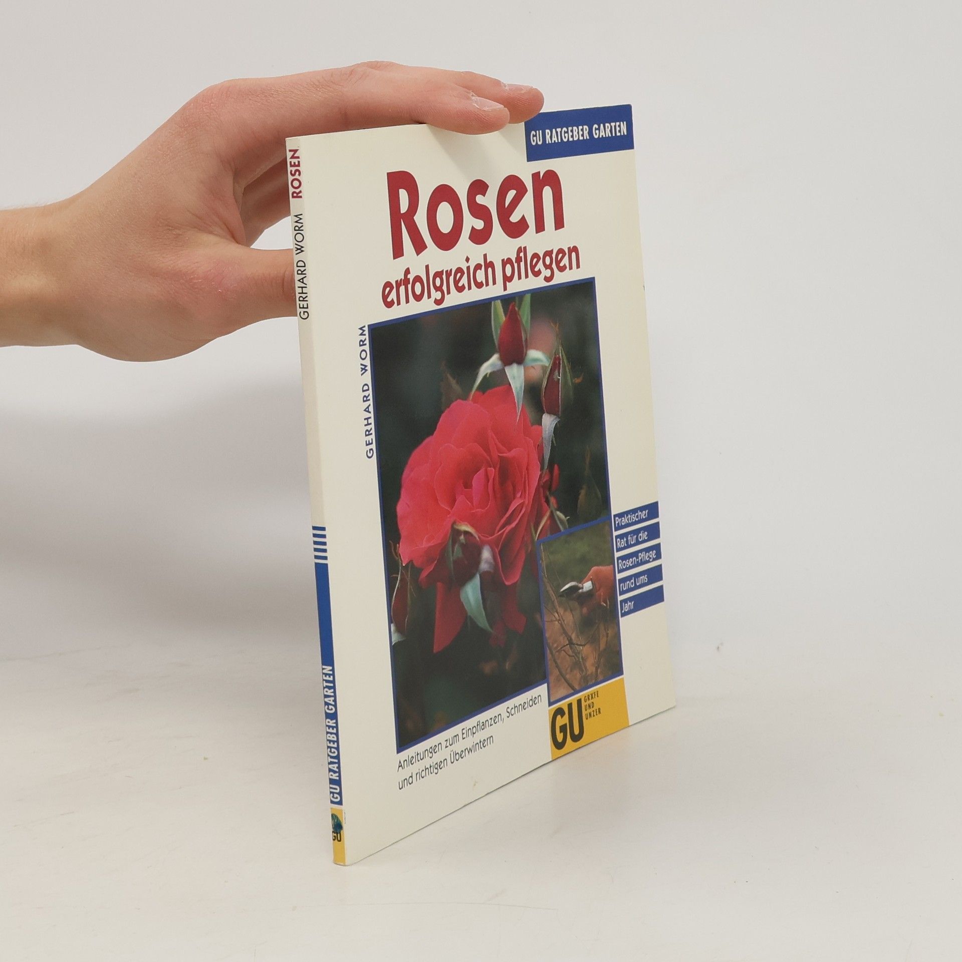 Gerhard Worm Rosen erfolgreich pflegen